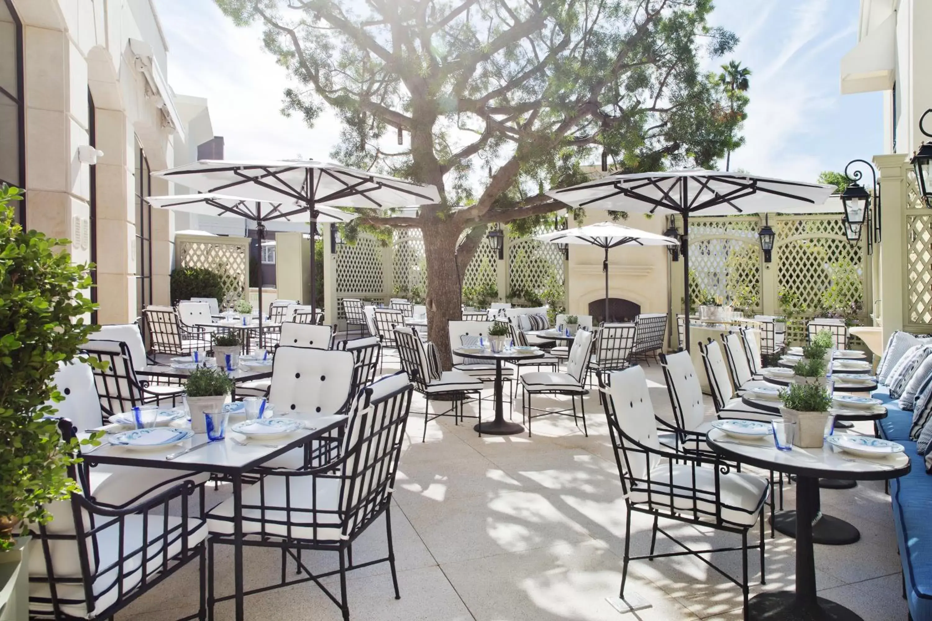 Patio, Restaurant/Places to Eat in The Peninsula Beverly Hills