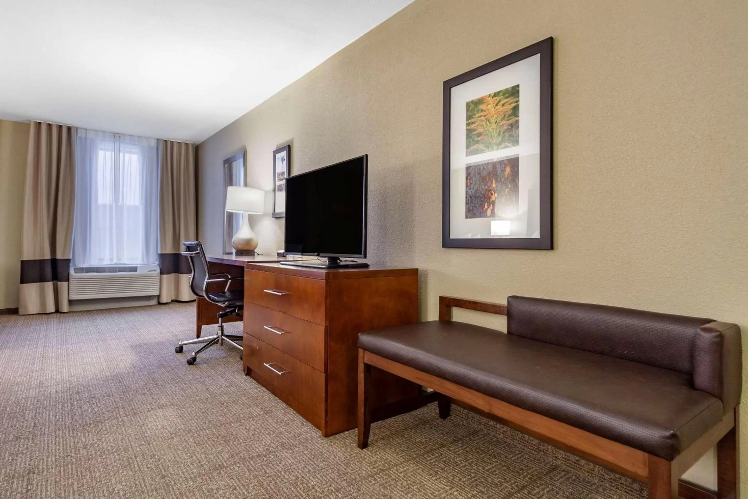 Photo of the whole room in Comfort Inn & Suites Sidney I-80