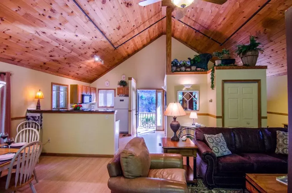 Living room, Seating Area in Asheville Cabins of Willow Winds