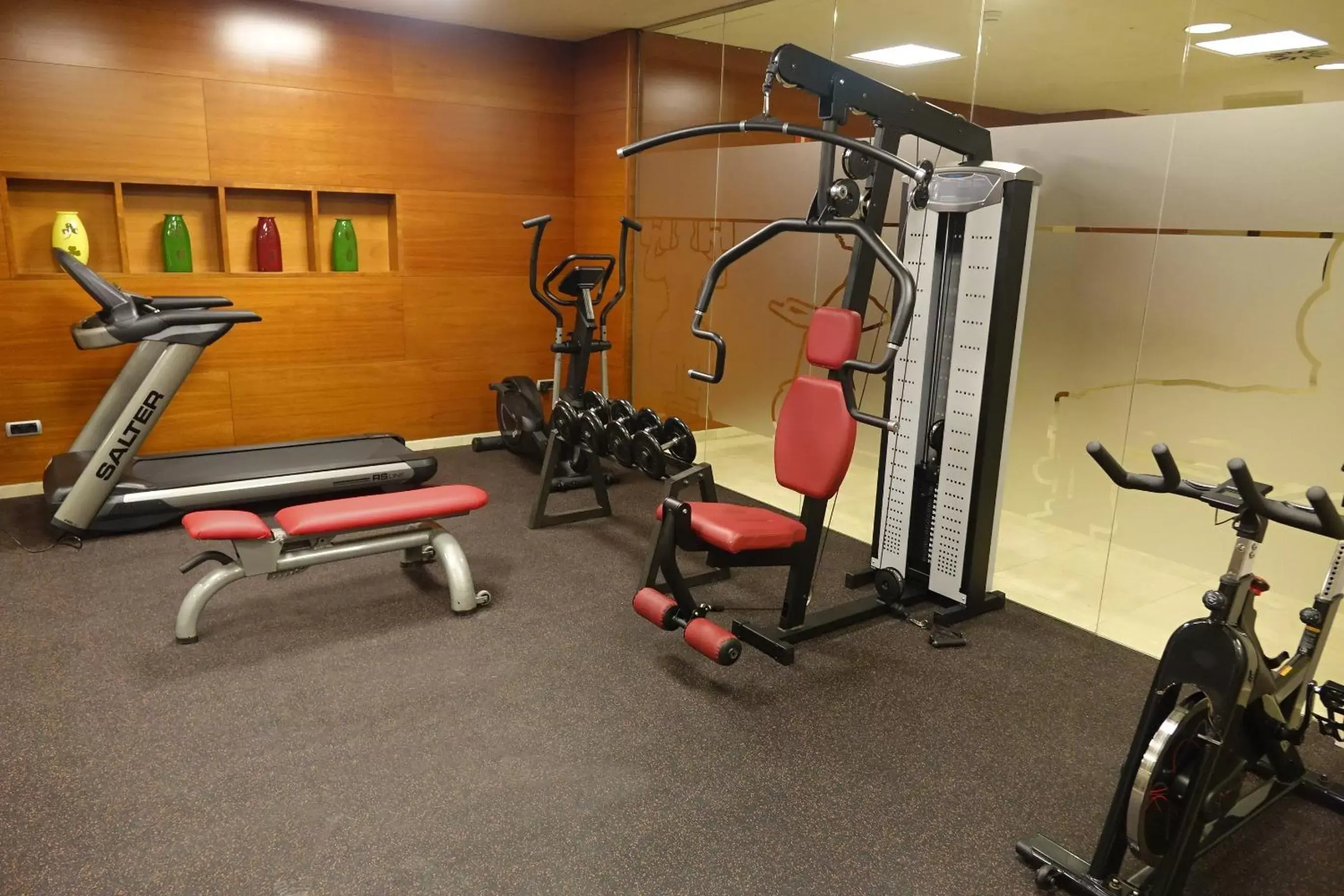 Fitness centre/facilities, Fitness Center/Facilities in Acevi Villarroel