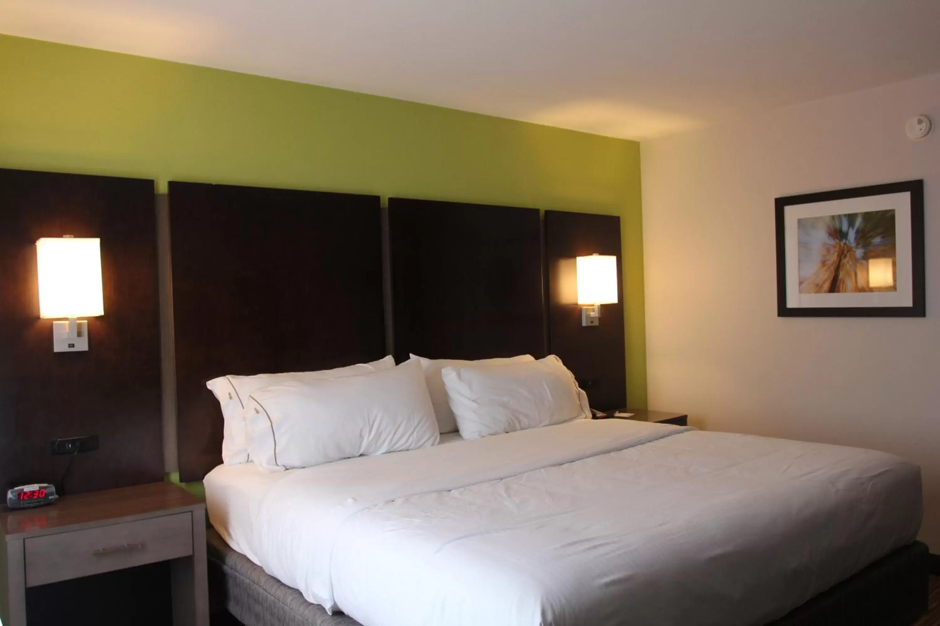 Photo of the whole room, Bed in Holiday Inn Express & Suites Sweetwater, an IHG Hotel