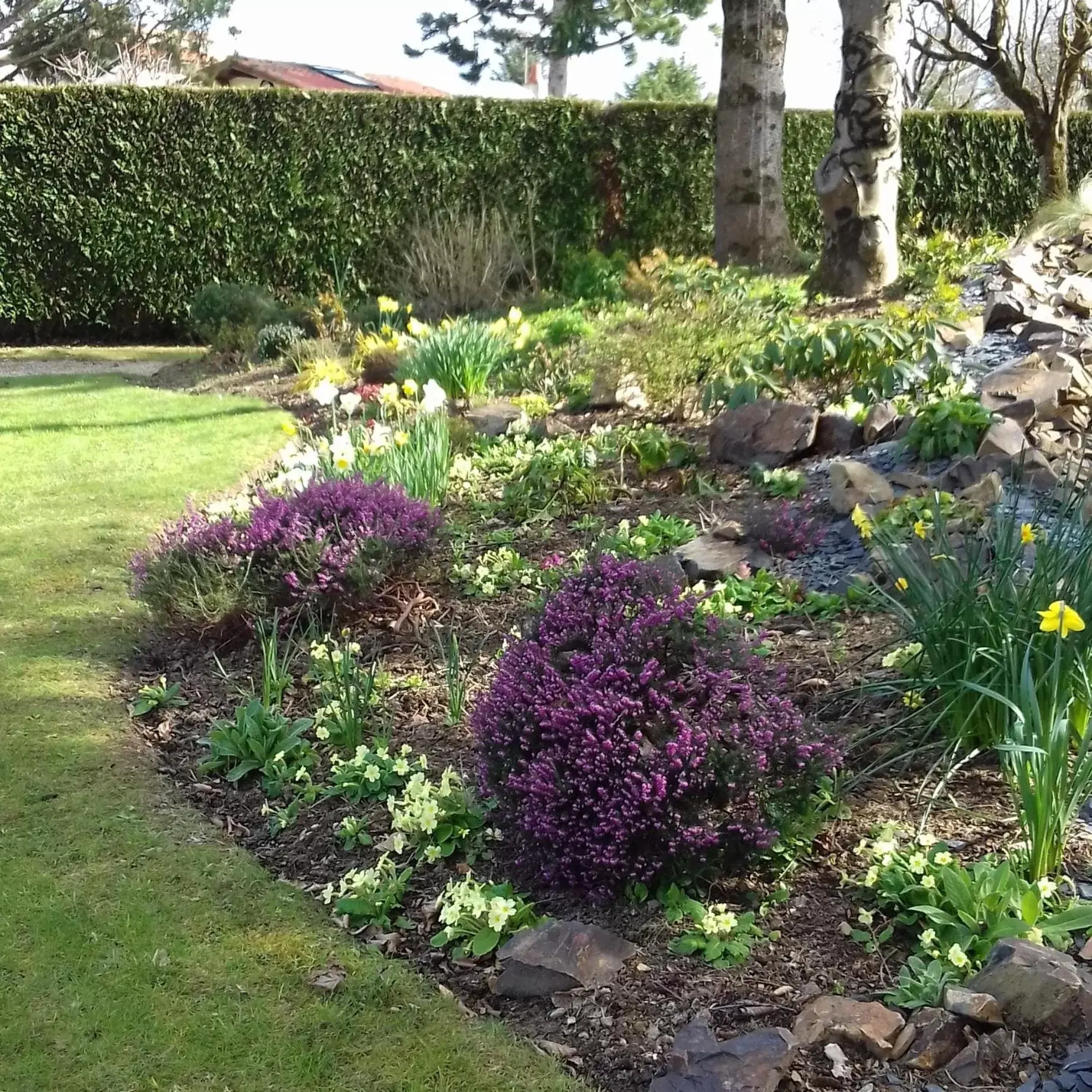 Garden in Chambres d'Hôtes Le Mûrier