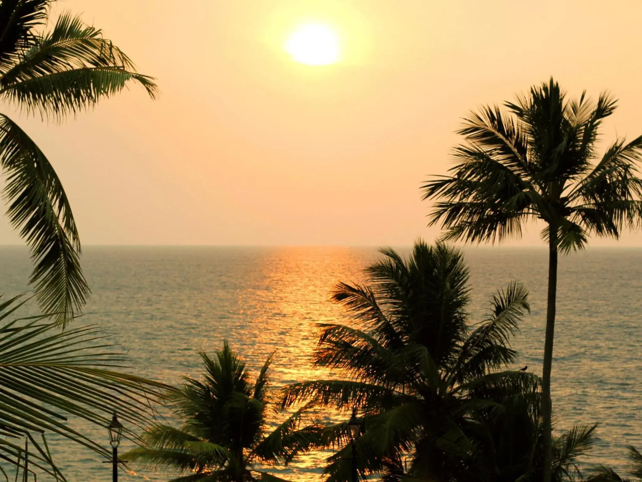 Sea view, Natural Landscape in Mount Lavinia Beach Hotel