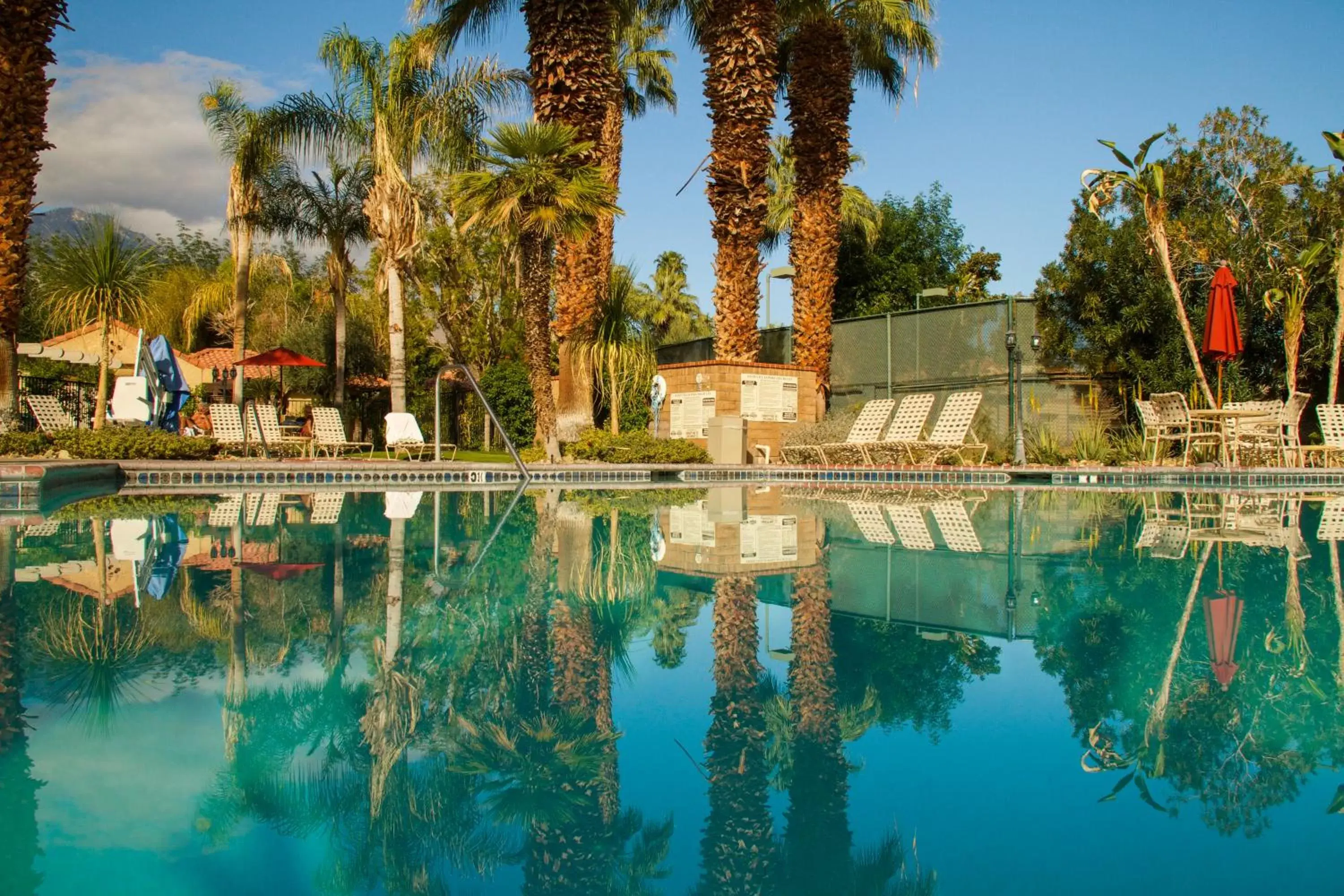 Swimming Pool in The Oasis Resort