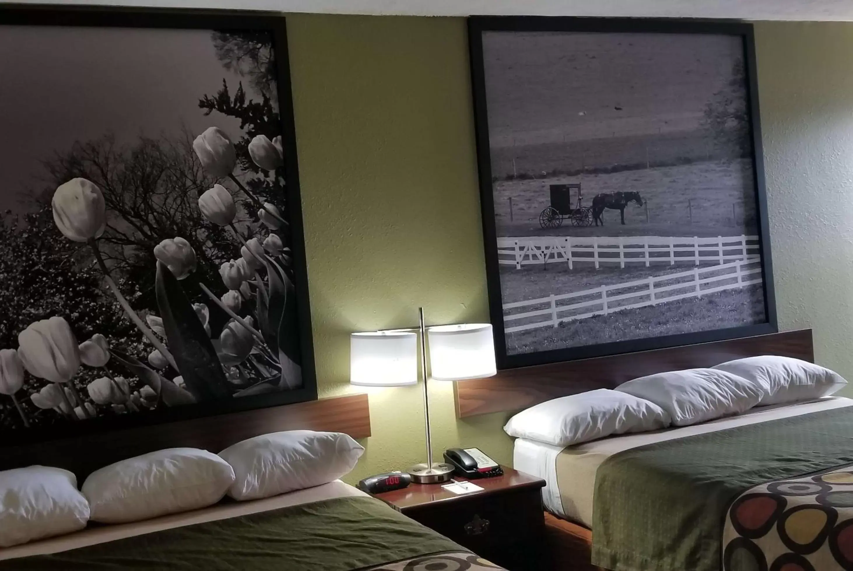 Photo of the whole room, Bed in Super 8 by Wyndham Bellefontaine