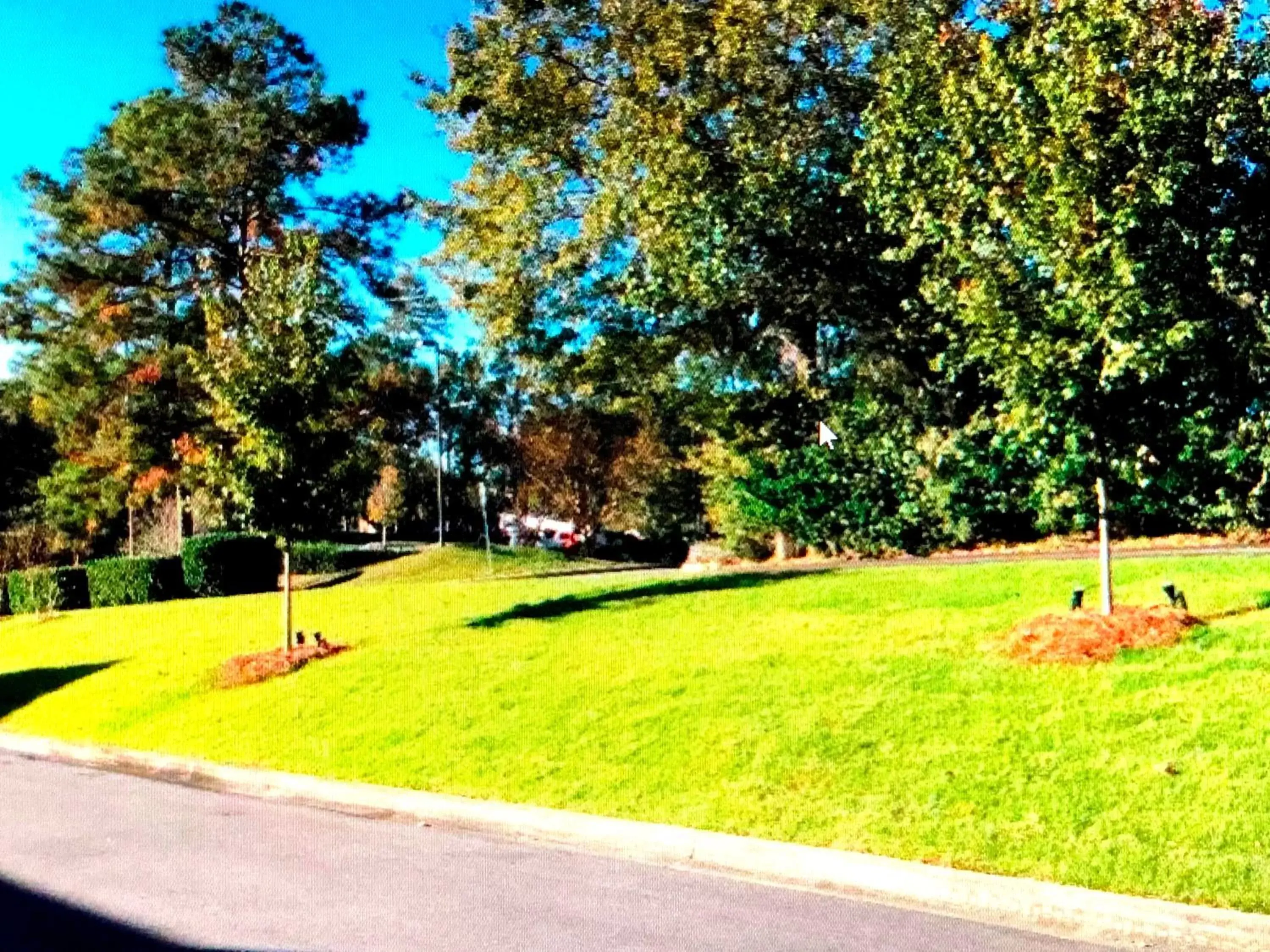 Natural landscape, Garden in Best Western Tallahassee Downtown Inn and Suites