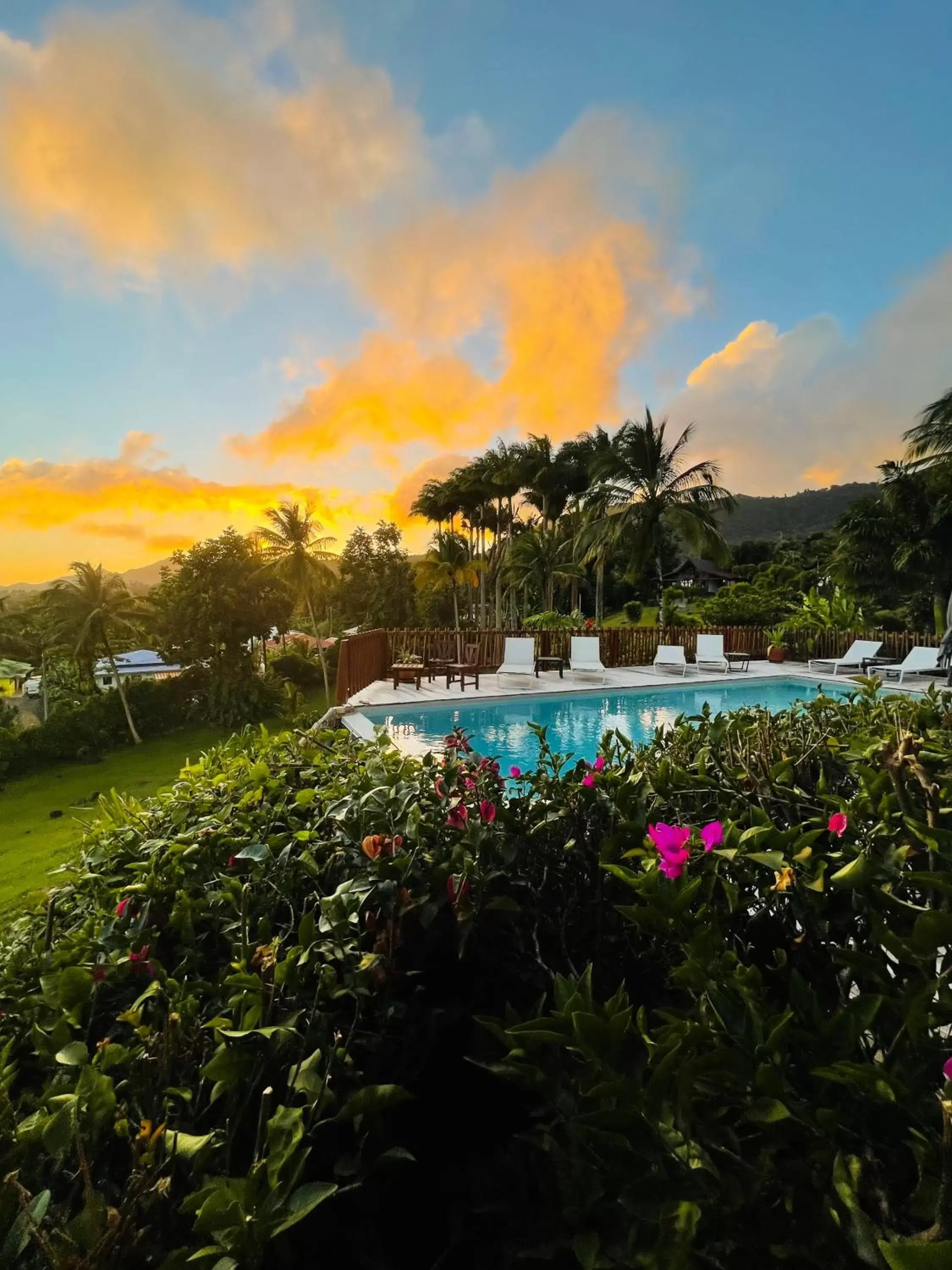 Swimming Pool in Jardin Malanga