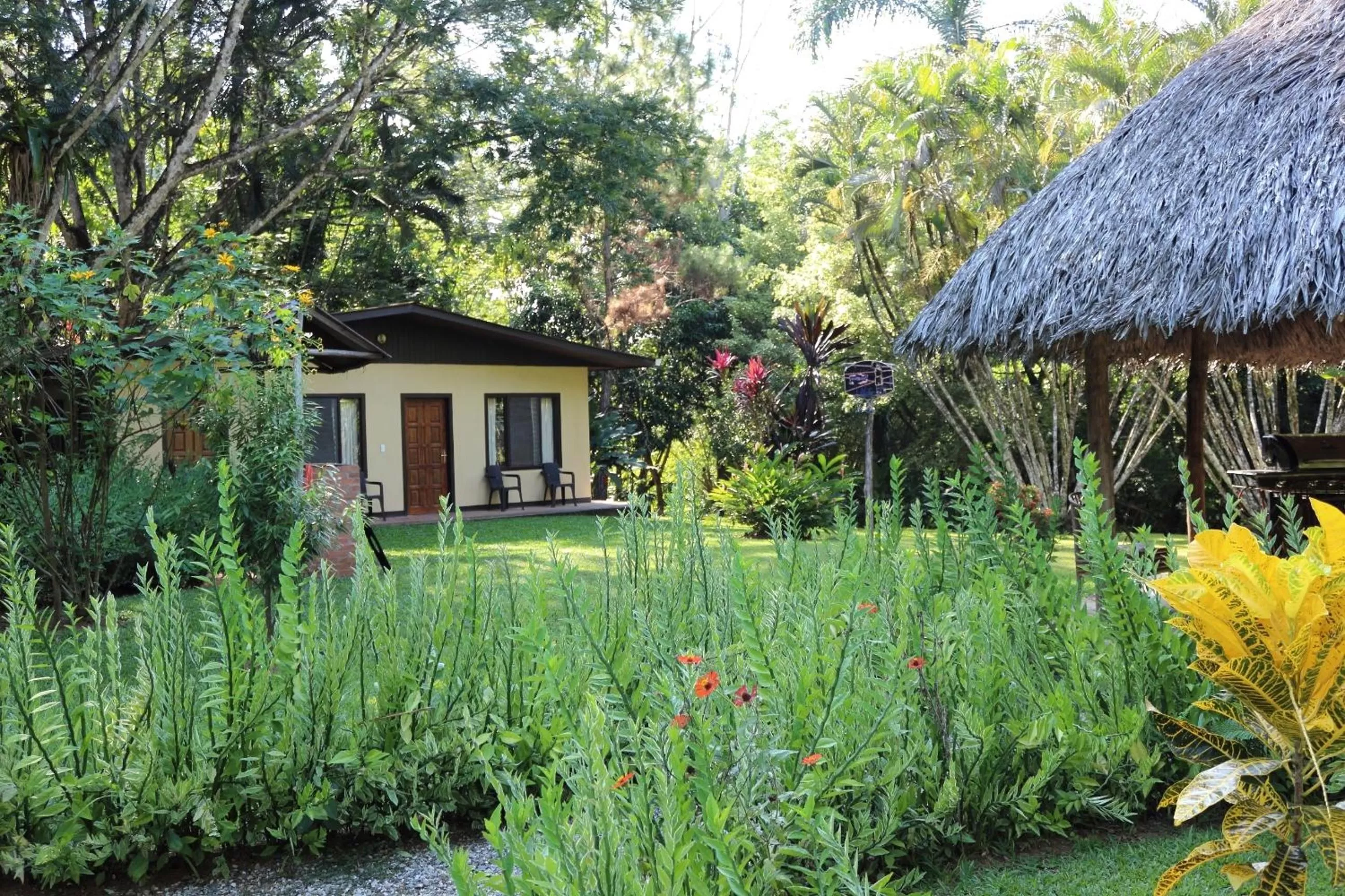 Natural landscape, Property Building in La Purruja Lodge