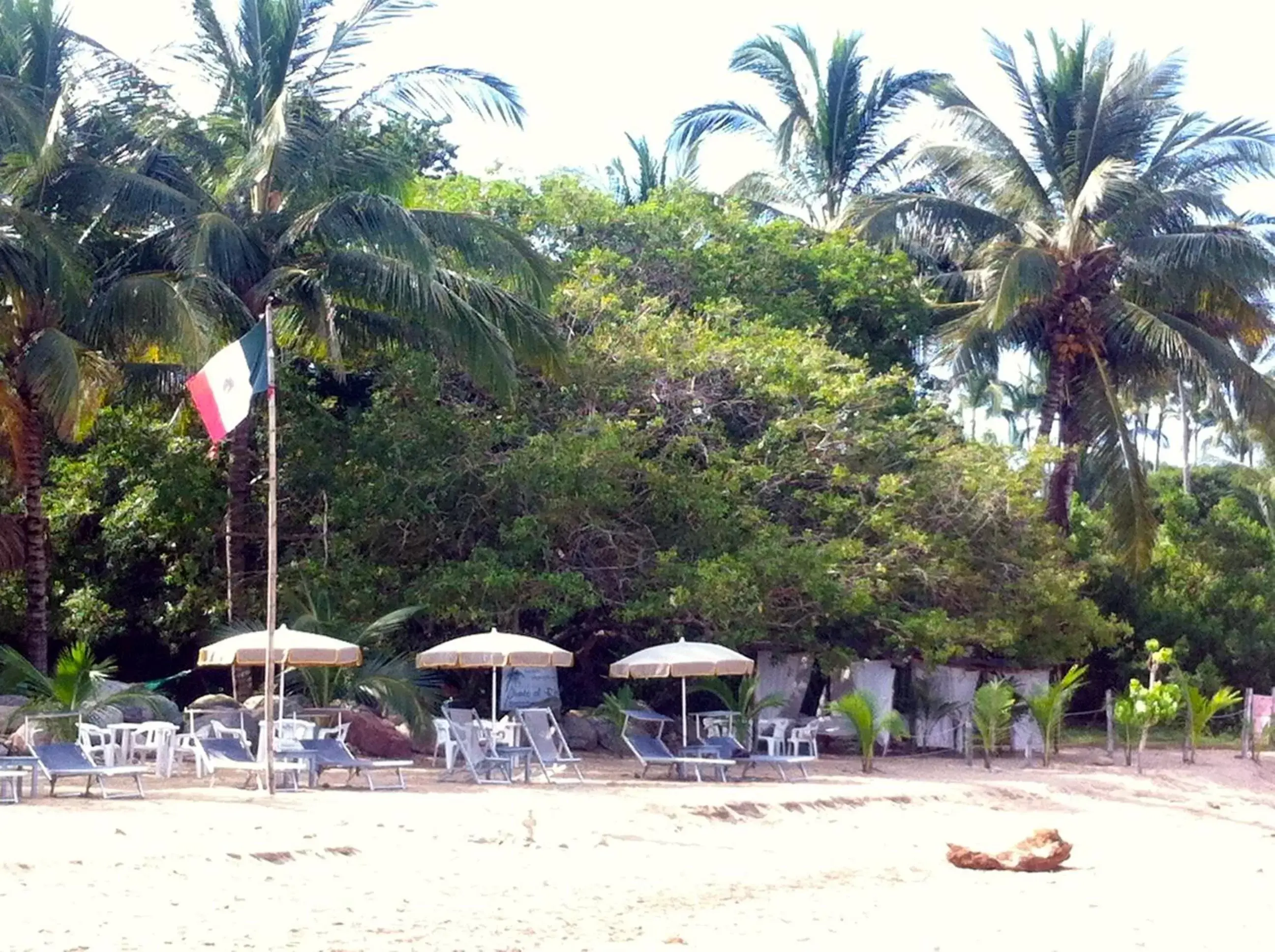 Lounge or bar, Beach in Junto al Rio Bungalows & Suites