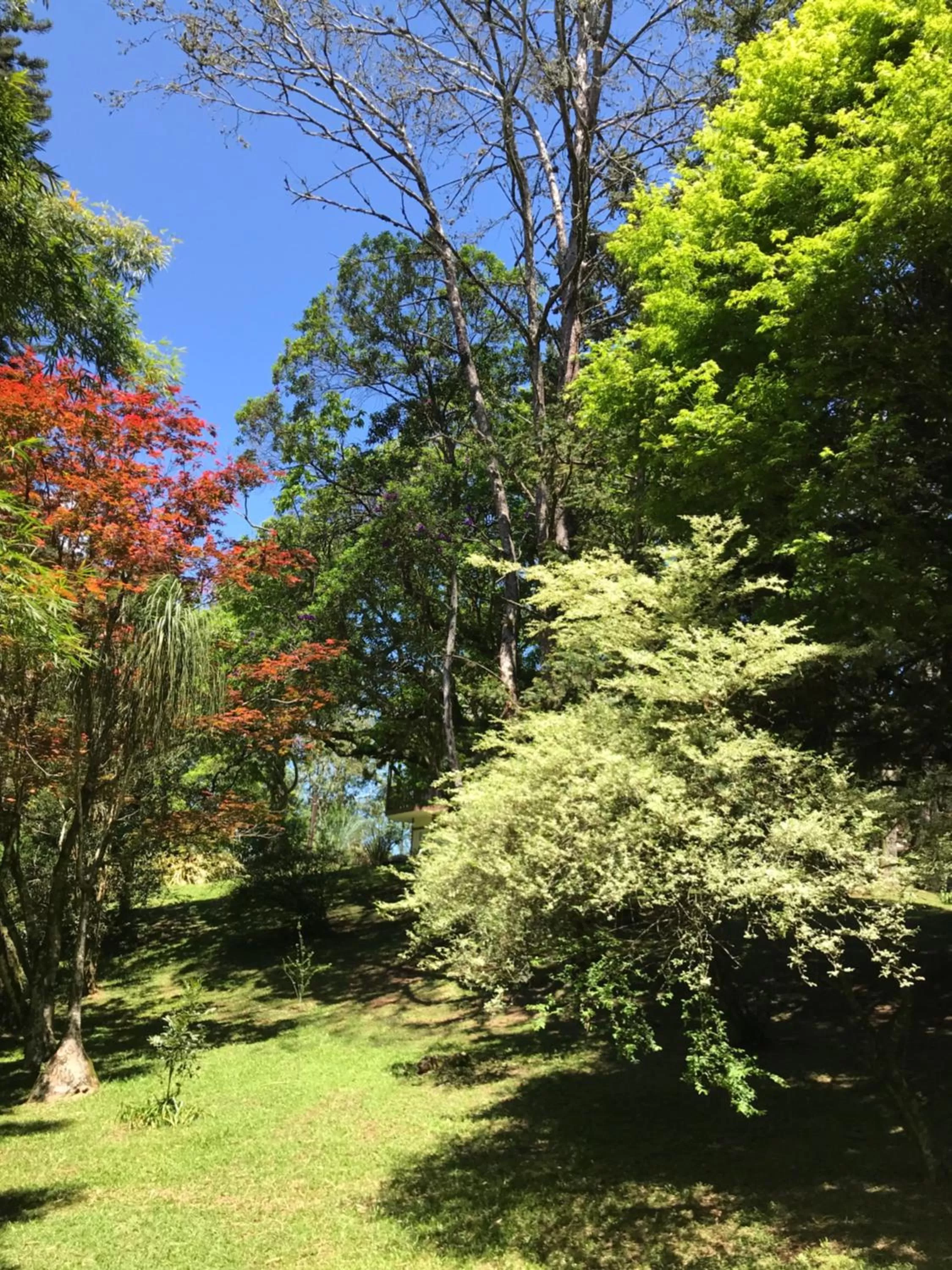 Natural landscape in Hotel Jardins da Colina