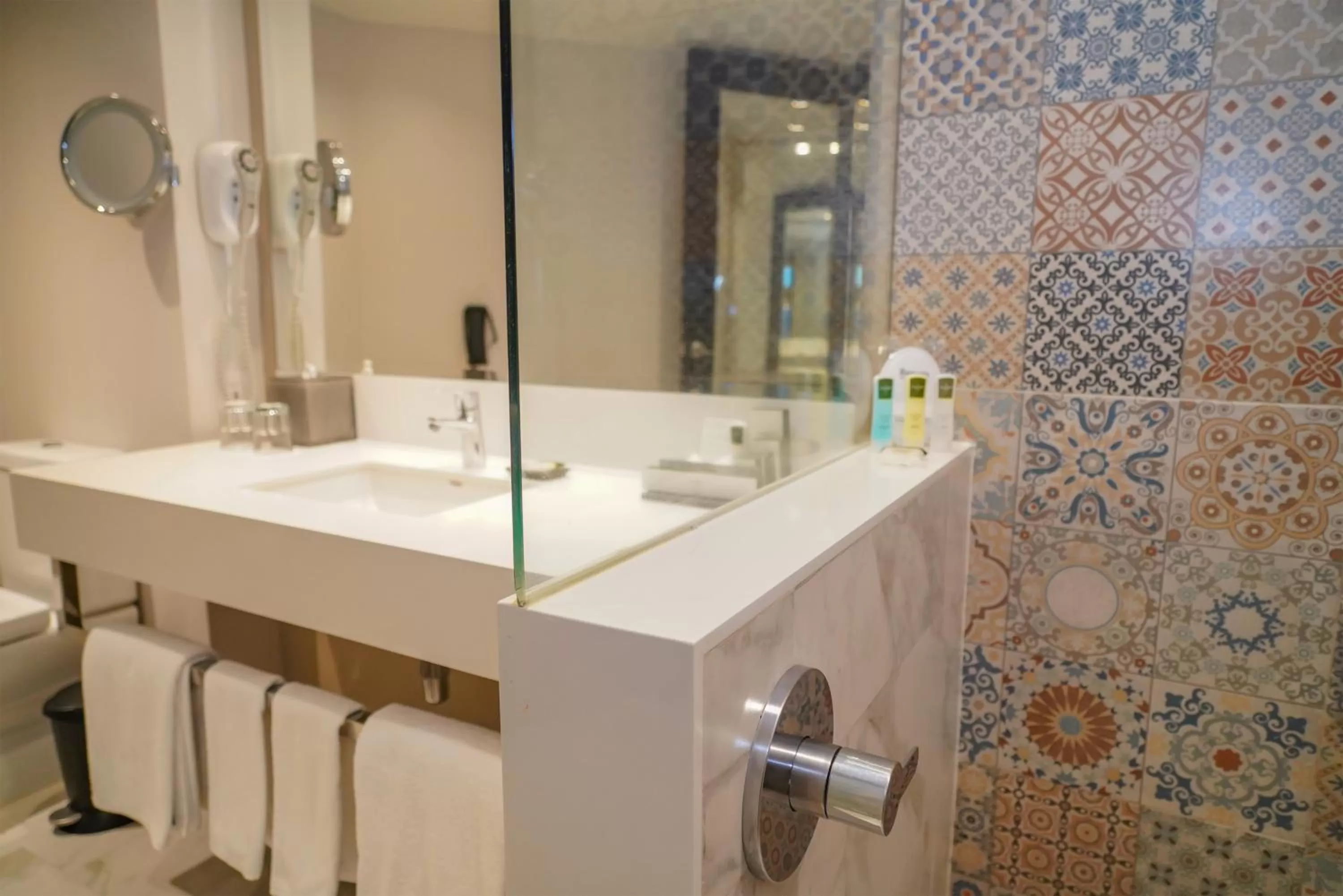 Toilet in Barceló Mexico Reforma