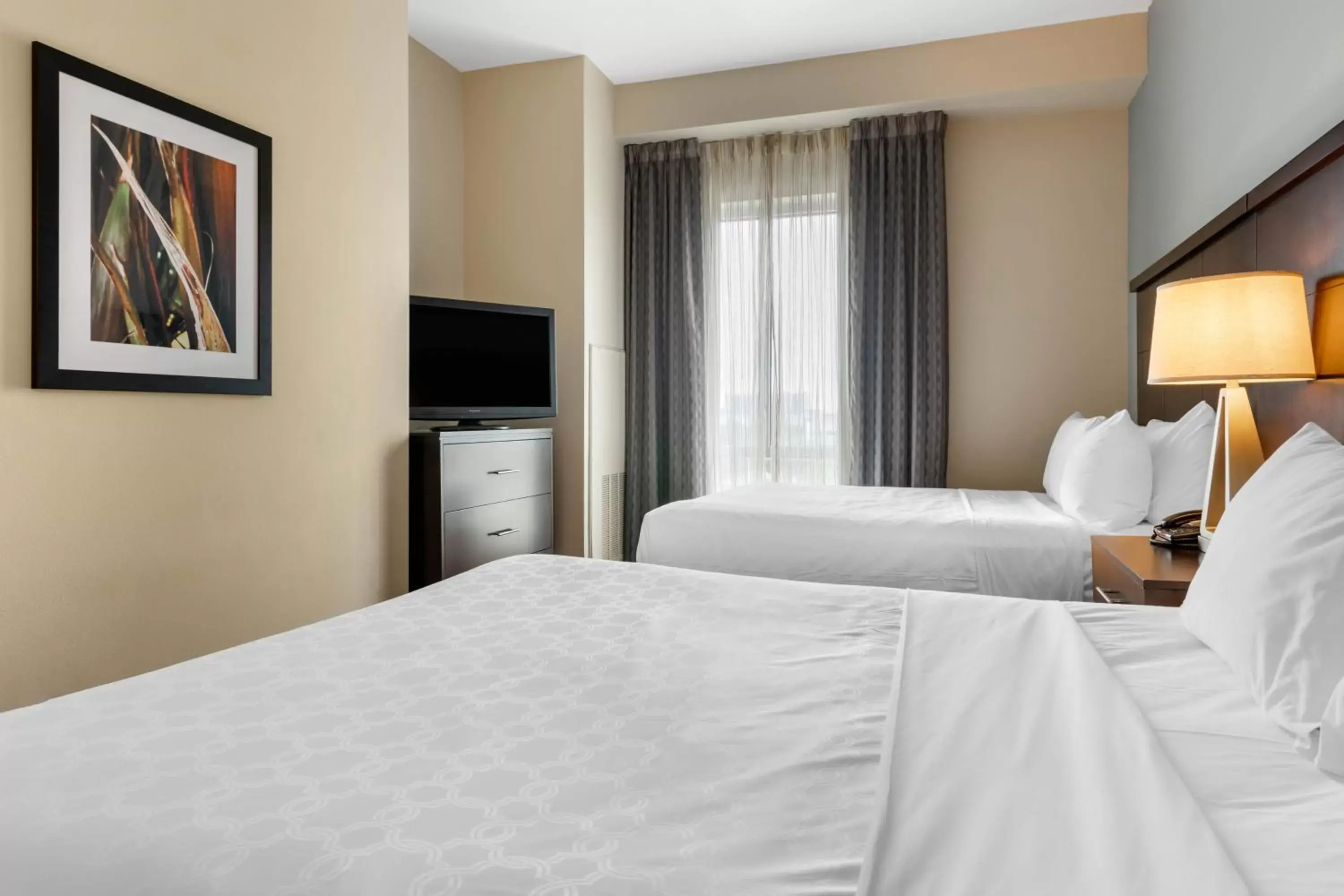 Bedroom, Bed in Staybridge Suites St. Petersburg FL, an IHG Hotel