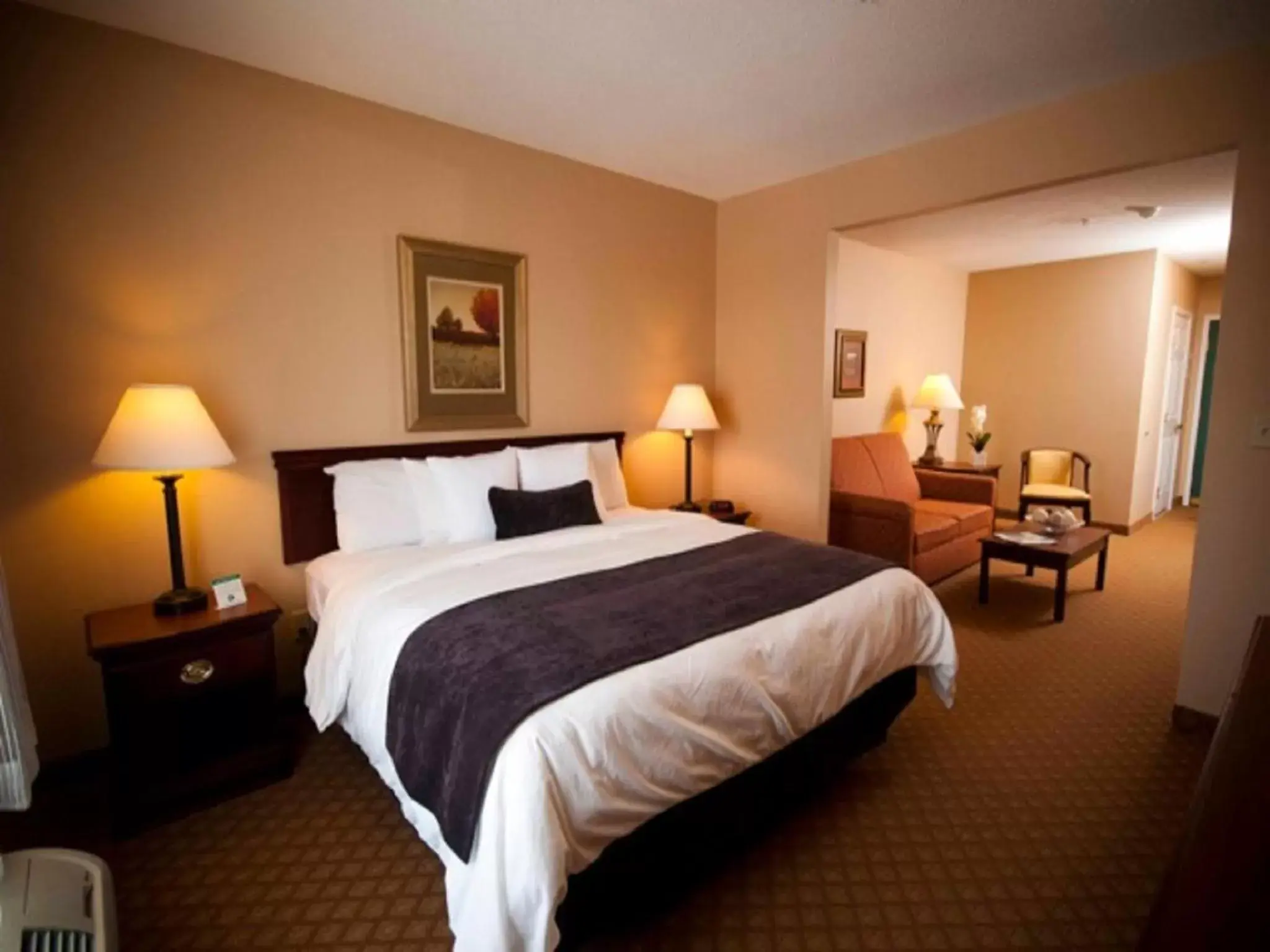 King Studio in Town & Country Inn and Suites King Studio in Town & Country Inn and Suites