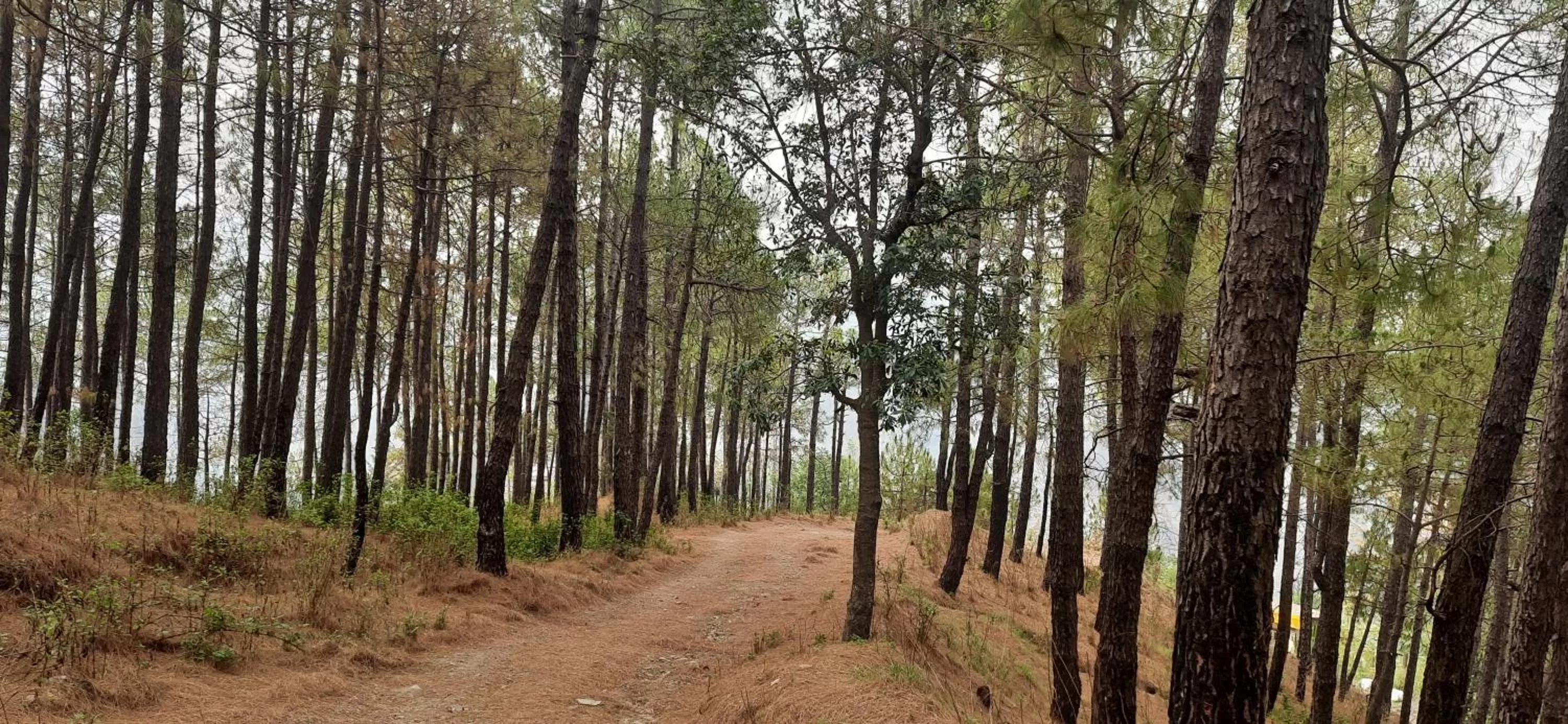 Natural landscape in Hotel The Paal