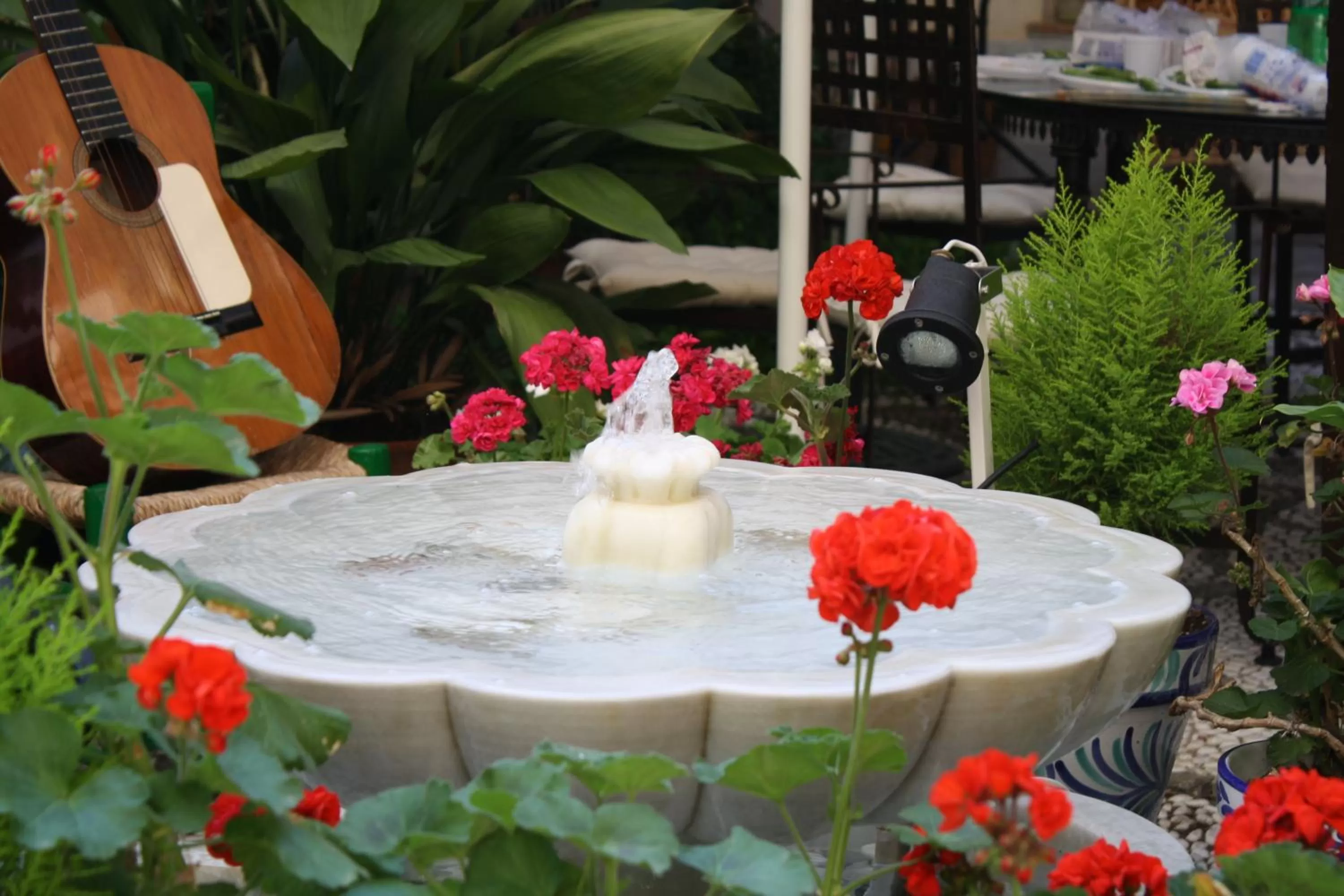 Patio in Abadía Hotel