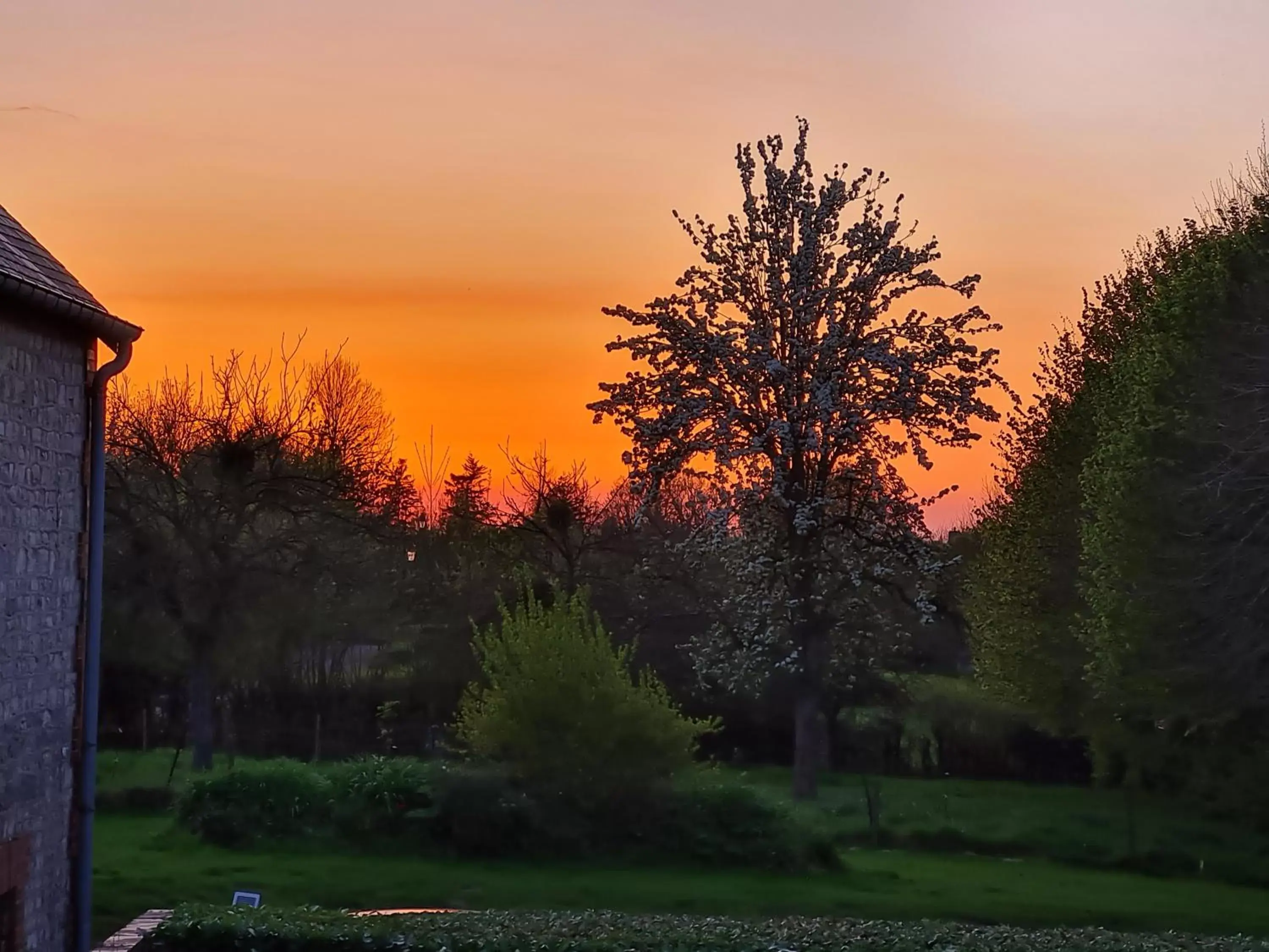 Sunset in Domaine De La Cour Vautier