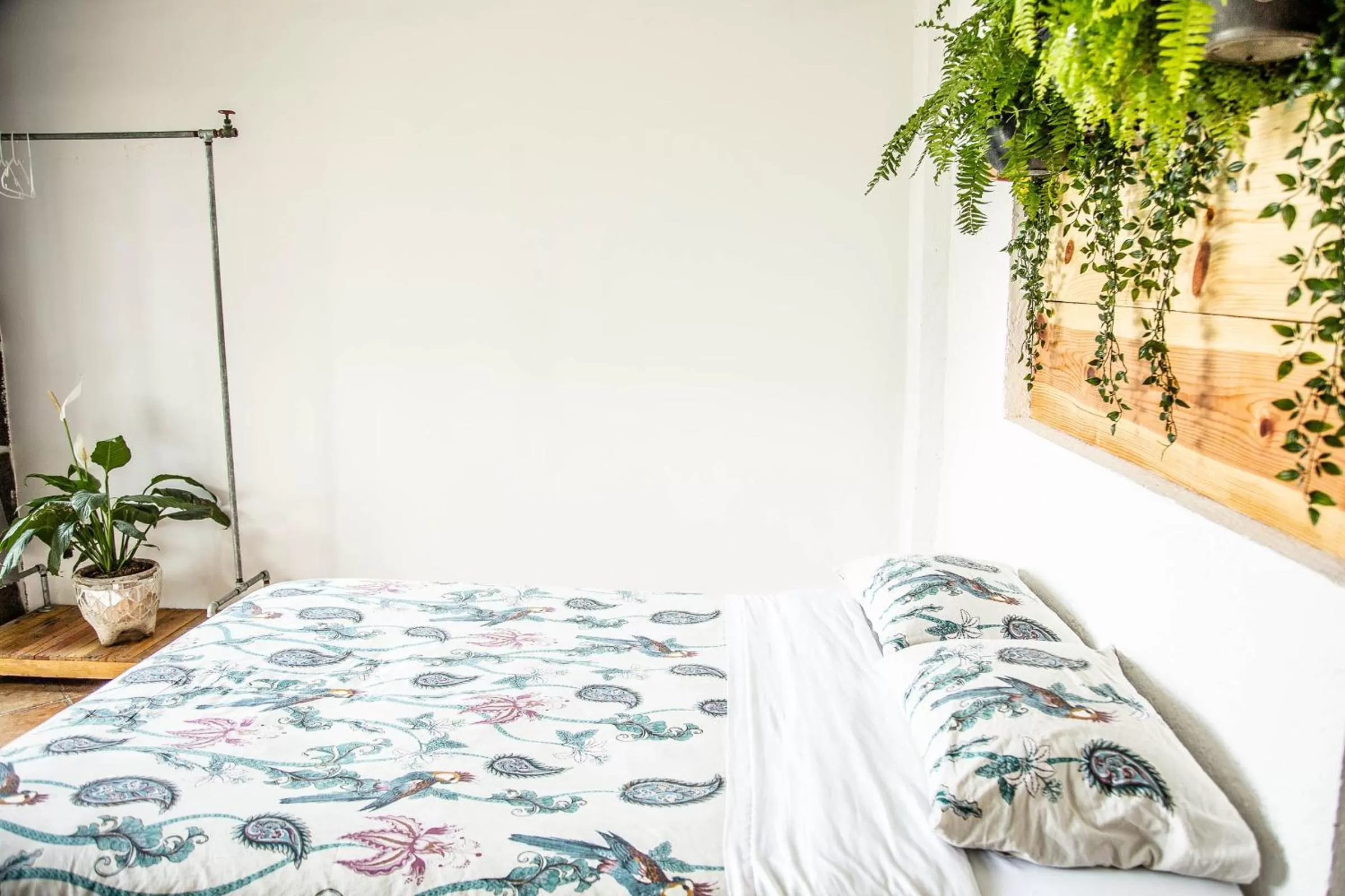 Bedroom, Bed in Colibrí Turquesa