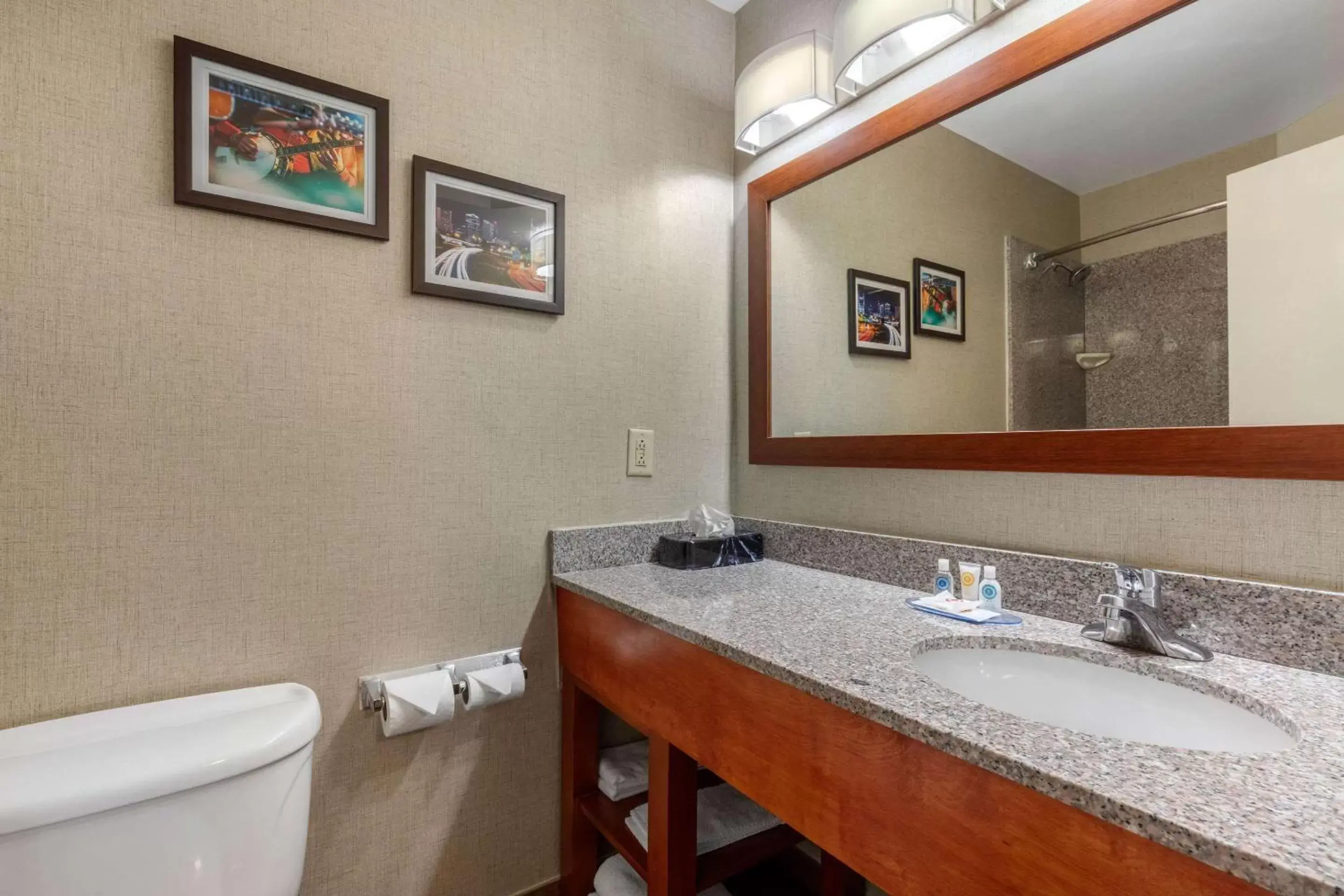 Photo of the whole room, Bathroom in Comfort Inn & Suites Nashville-Antioch