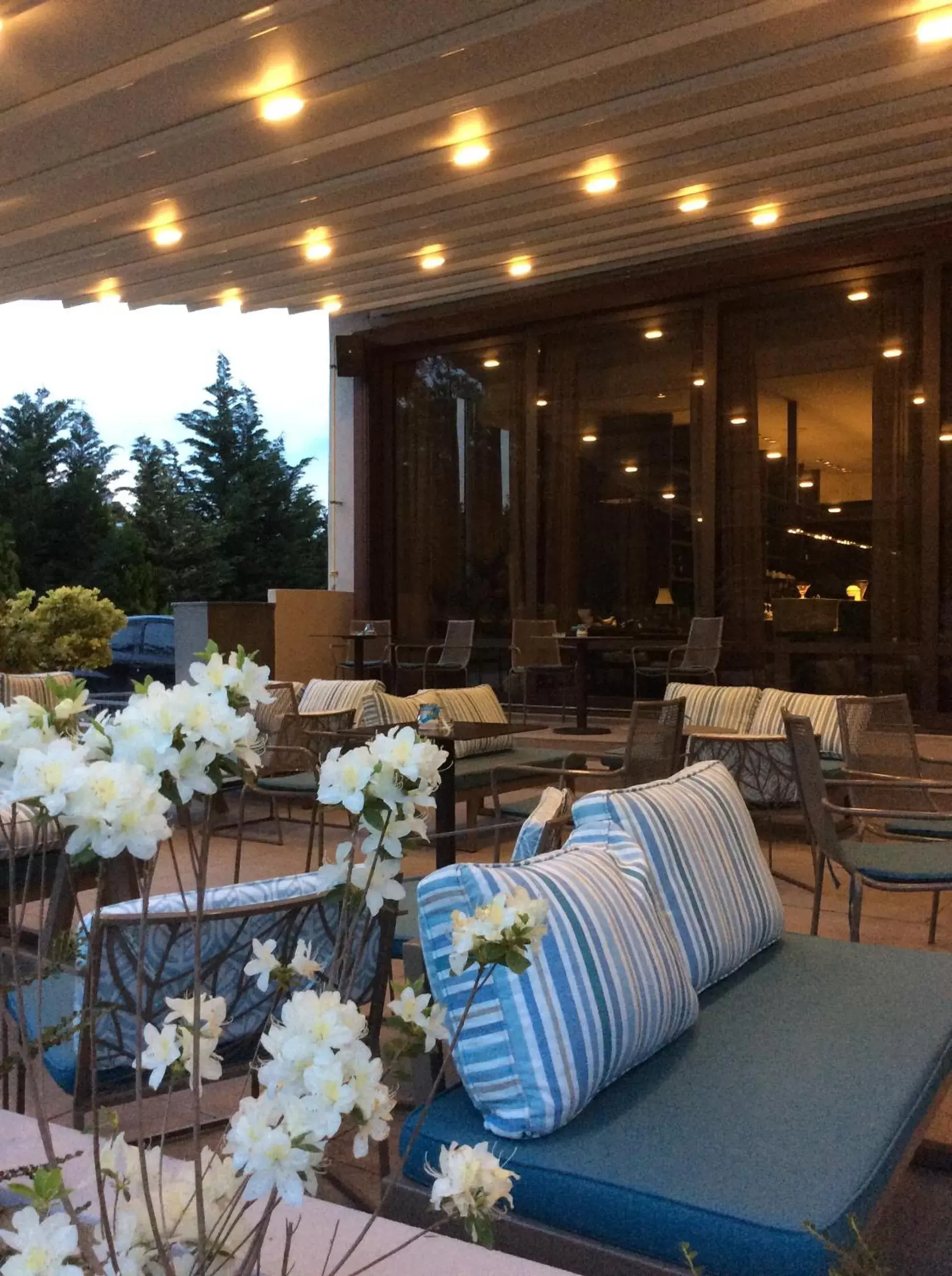 Garden, Restaurant/Places to Eat in Philippos Xenia Hotel