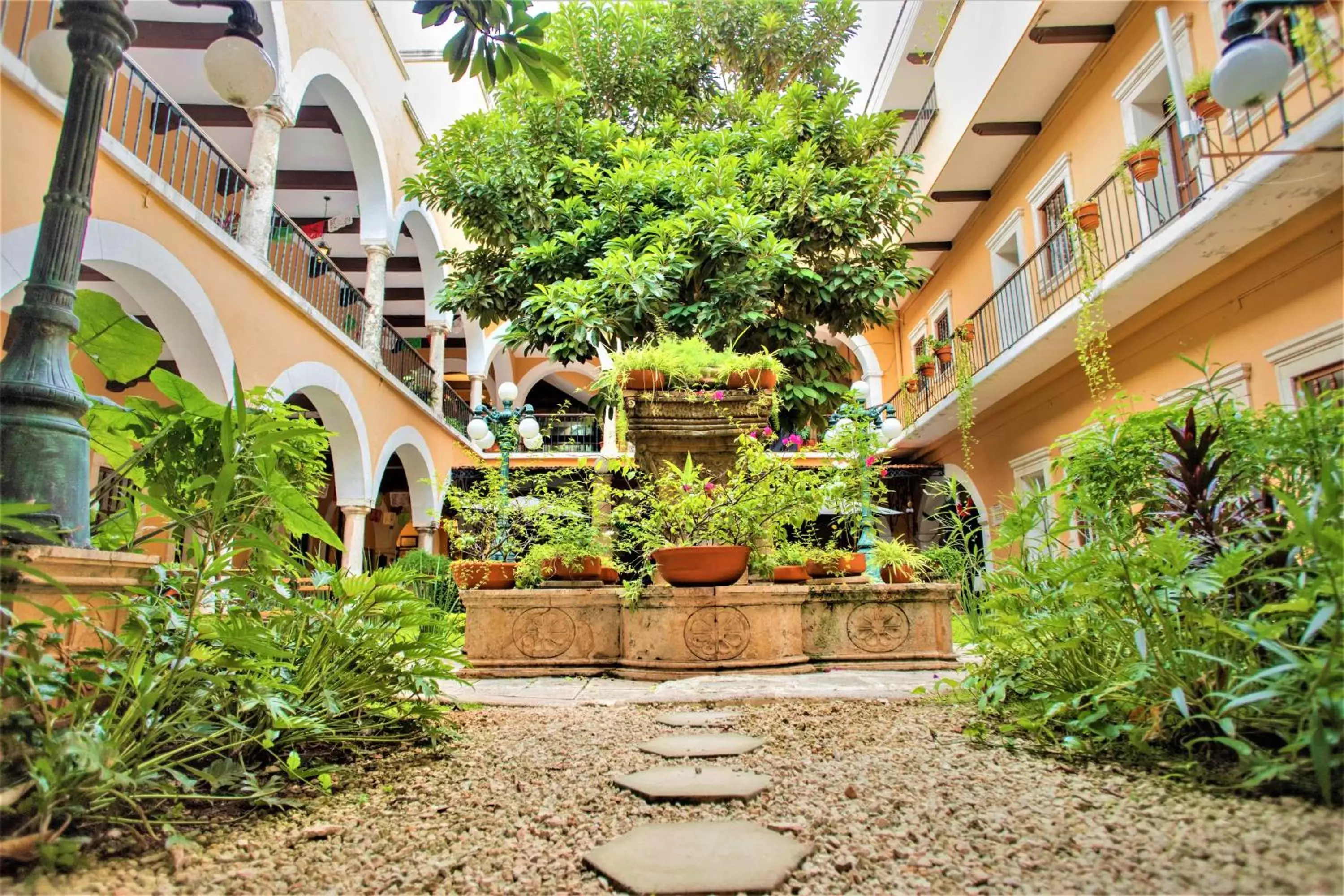 Garden in Hotel Caribe Merida Yucatan