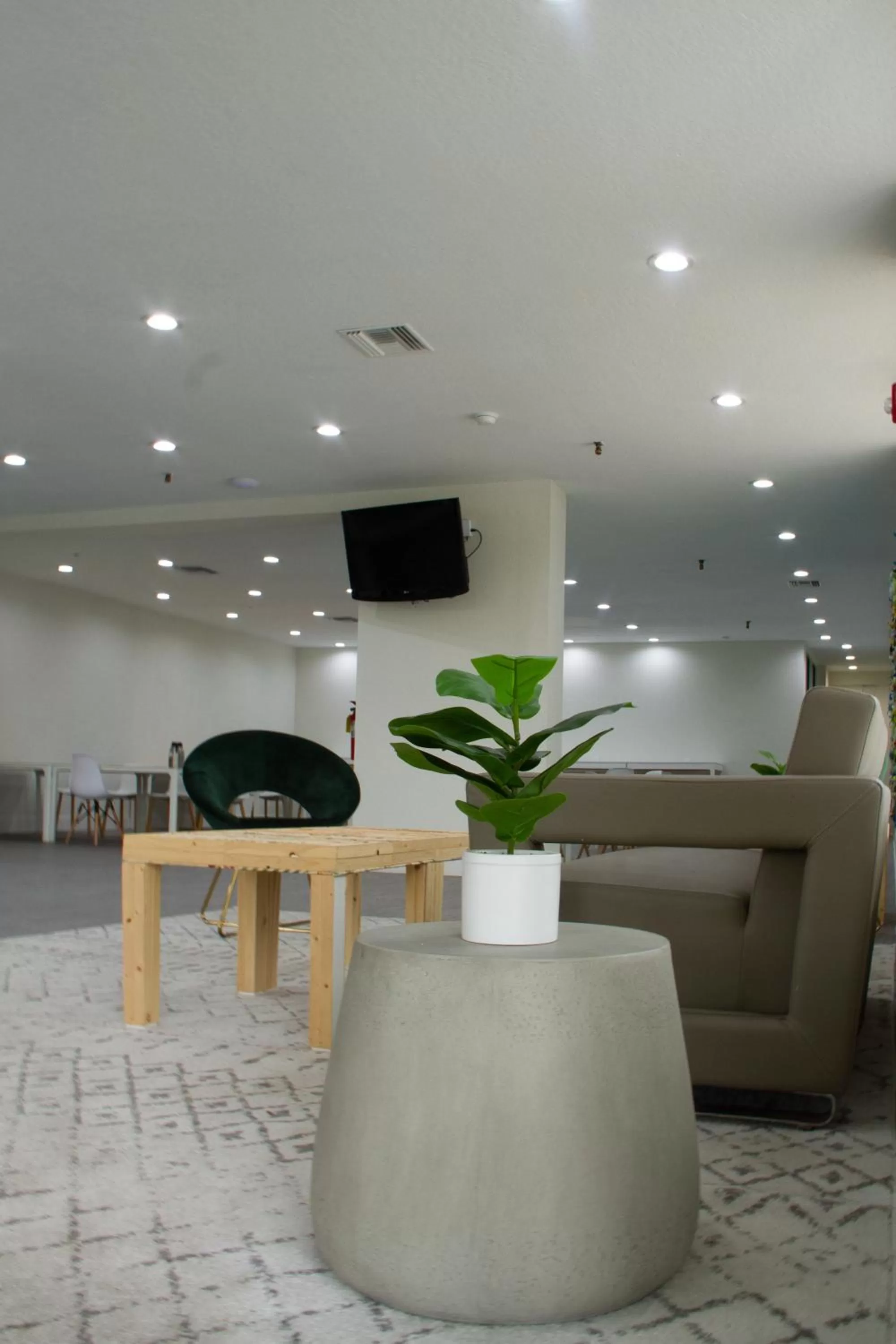 Lobby or reception in Oneway Savannah