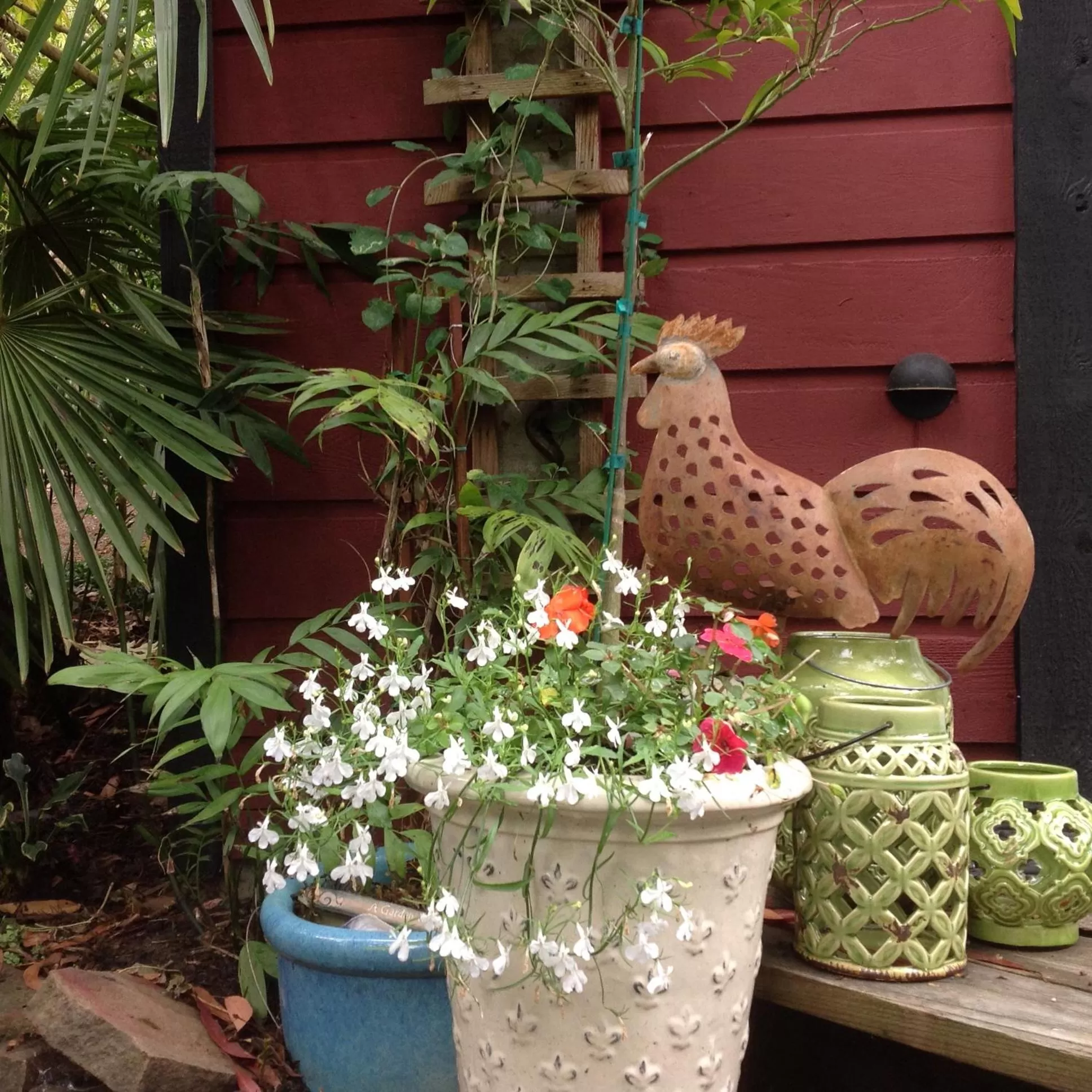 Patio in Magnolia Petal