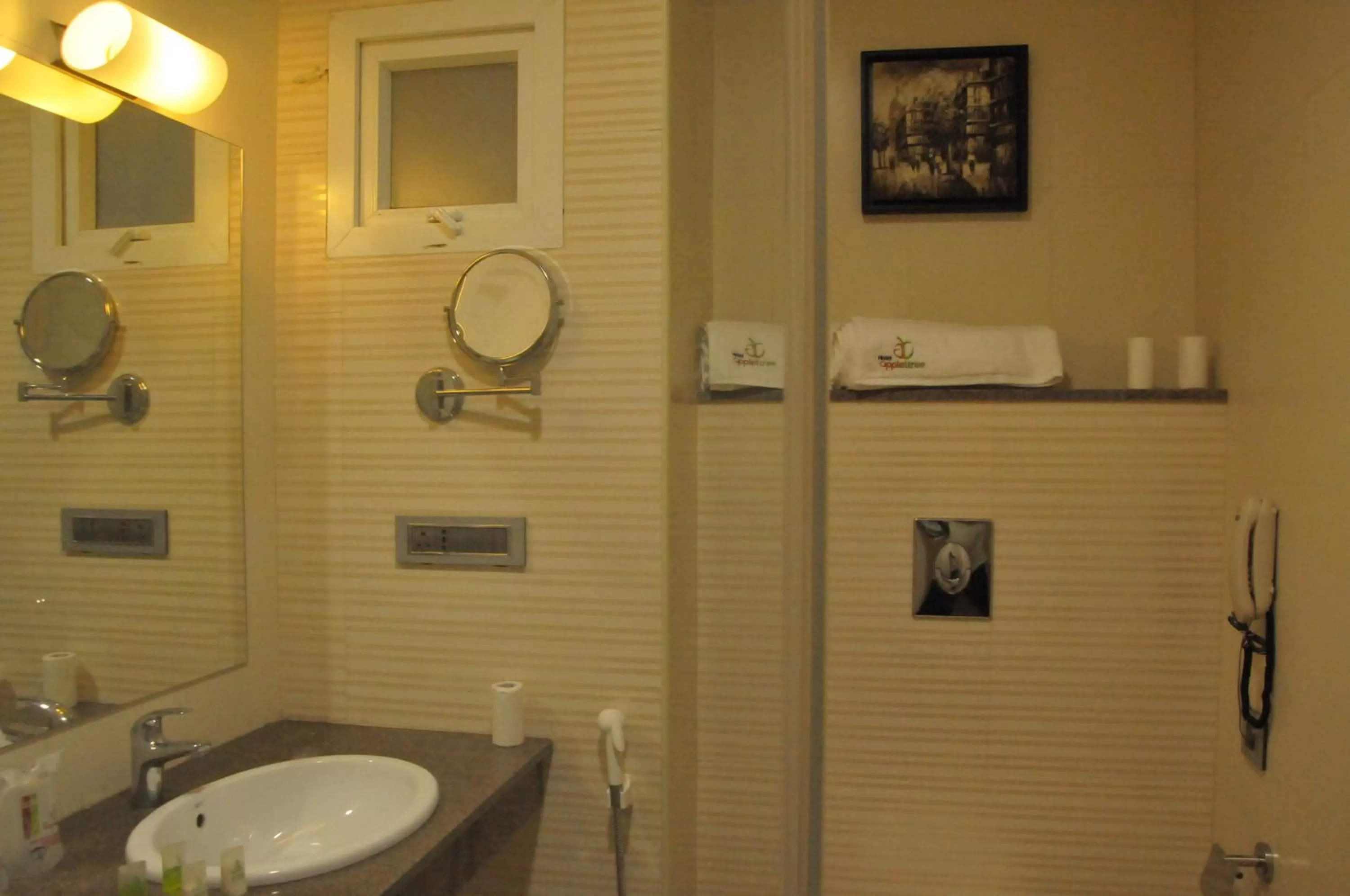 Toilet in Hotel Apple Ttree