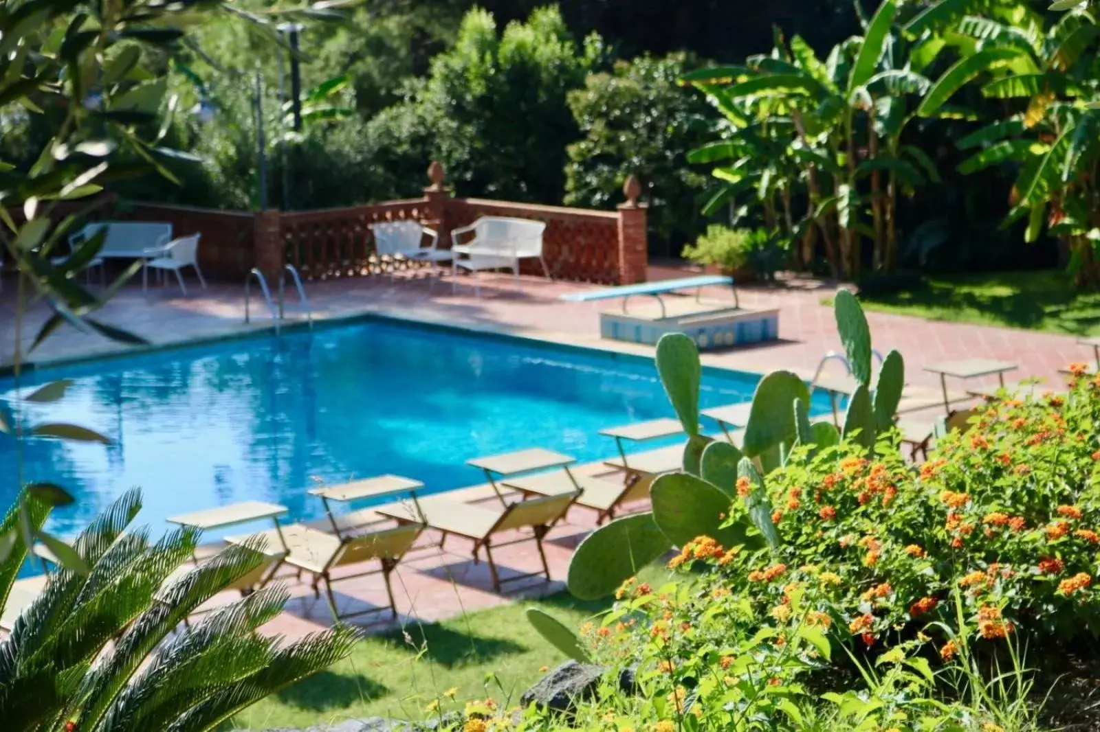 Garden, Swimming Pool in Villa delle Palme