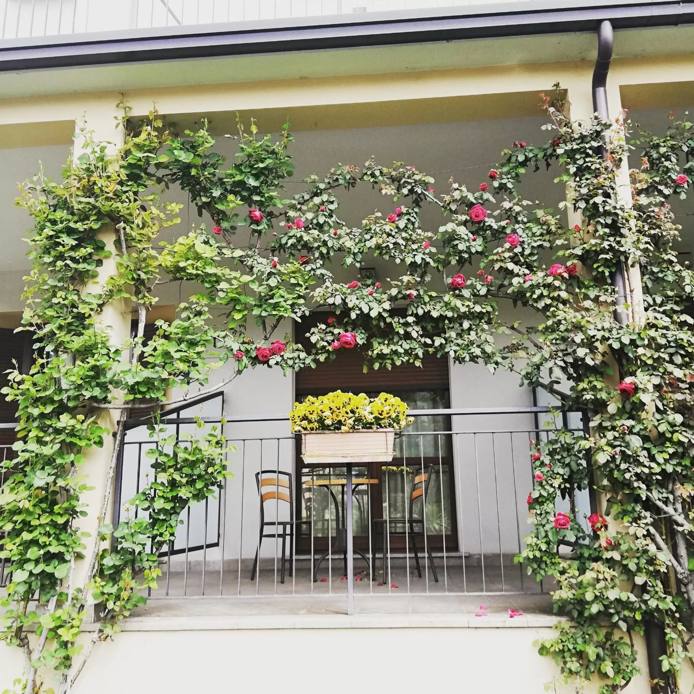 Balcony/Terrace in Hotel Fioroni