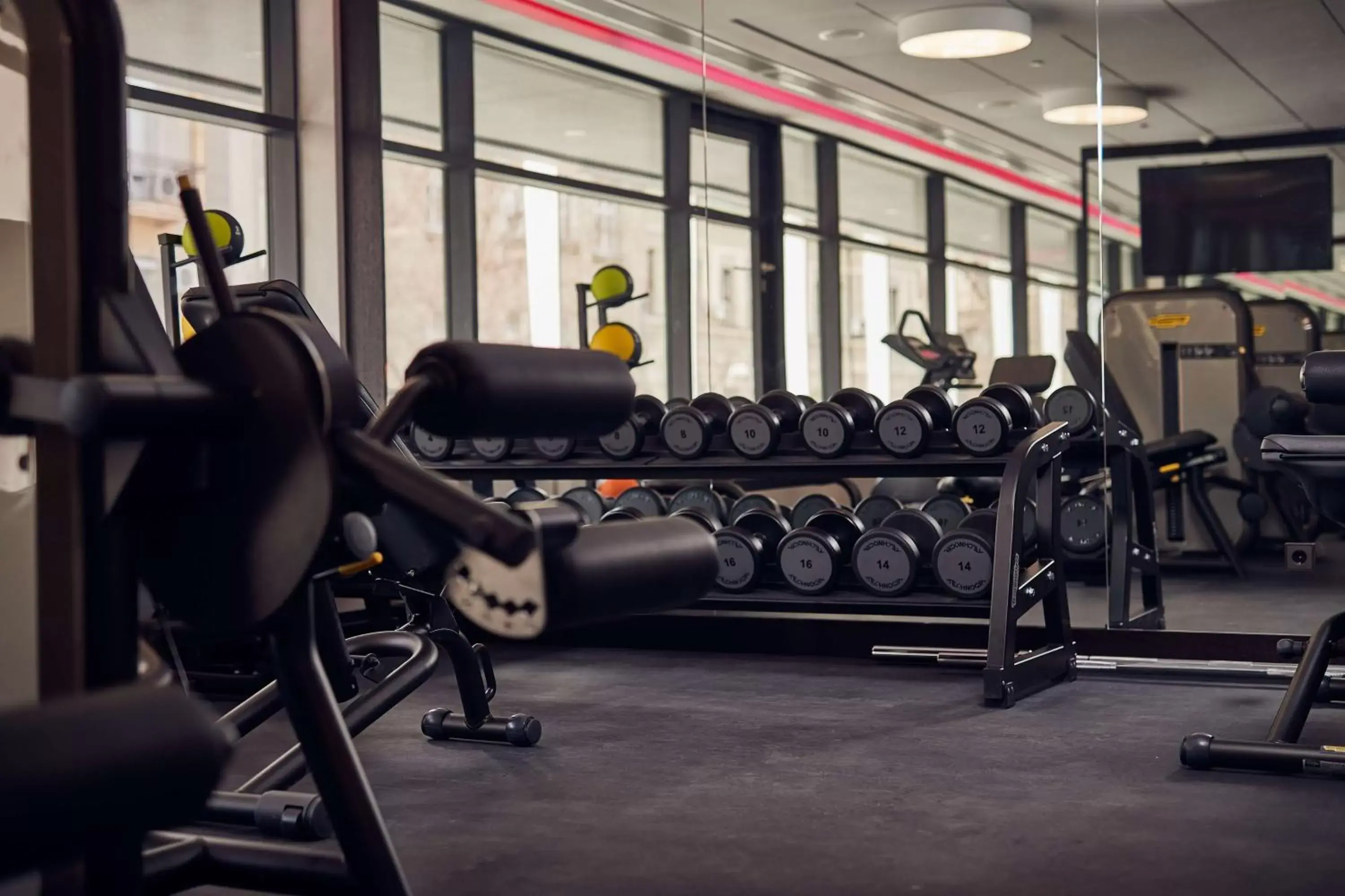 Fitness centre/facilities, Fitness Center/Facilities in Hilton Belgrade