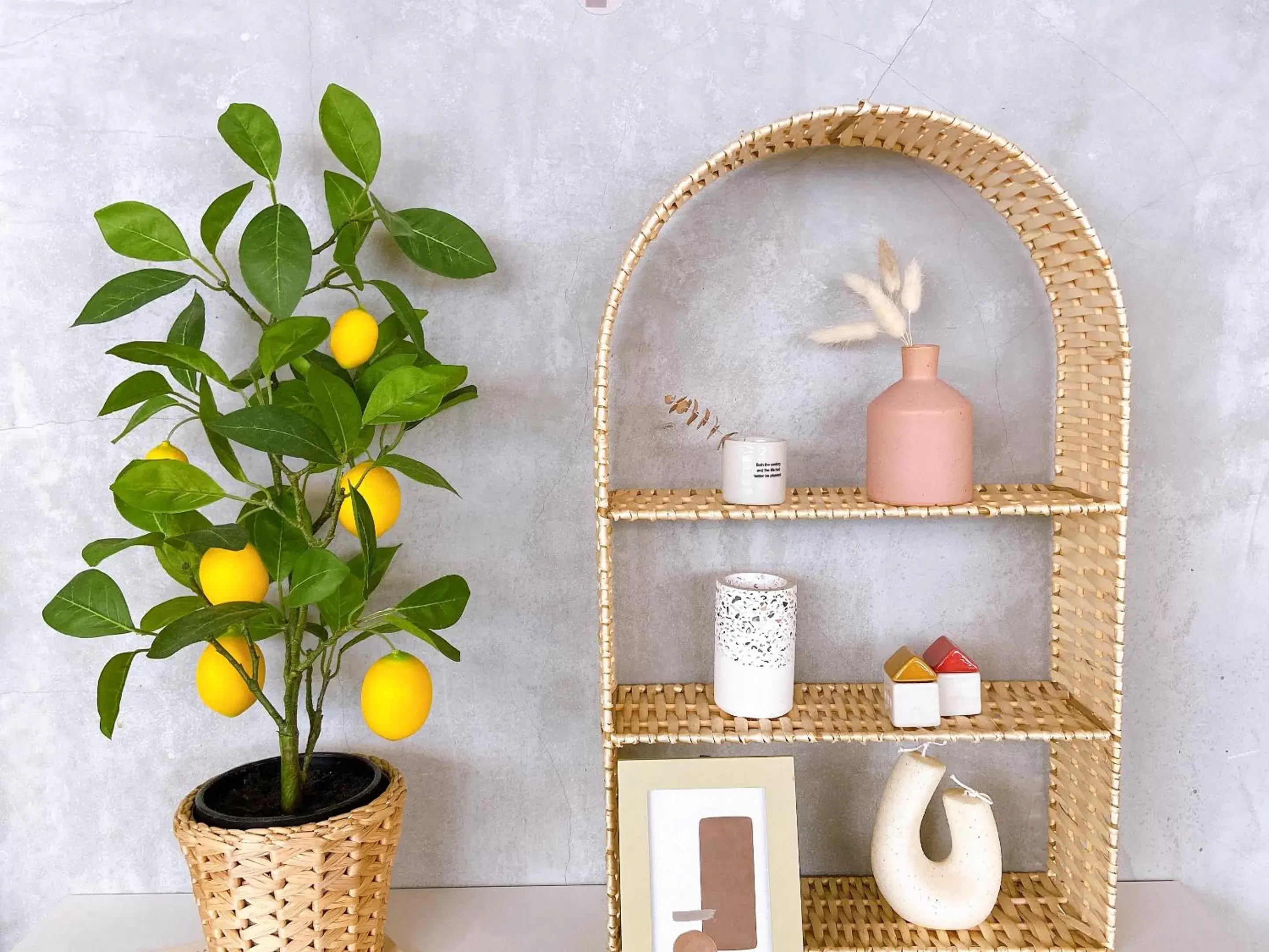 Restaurant/places to eat in Book Tea Bed SHINJUKU-GYOEN Restaurant/places to eat in Book Tea Bed SHINJUKU-GYOEN