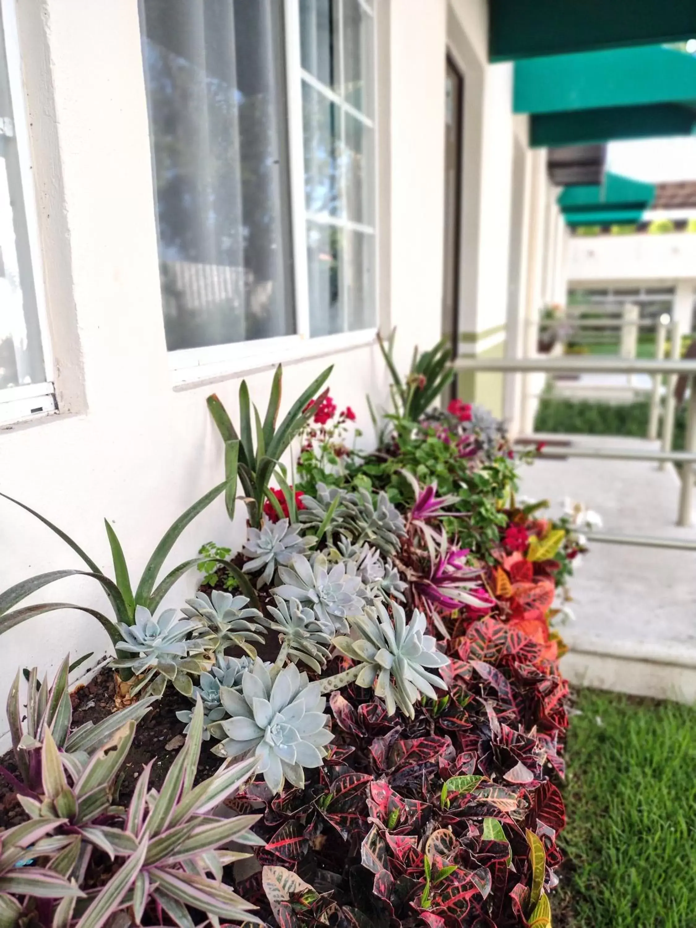 Garden view, Property Building in Hotel del Pescador