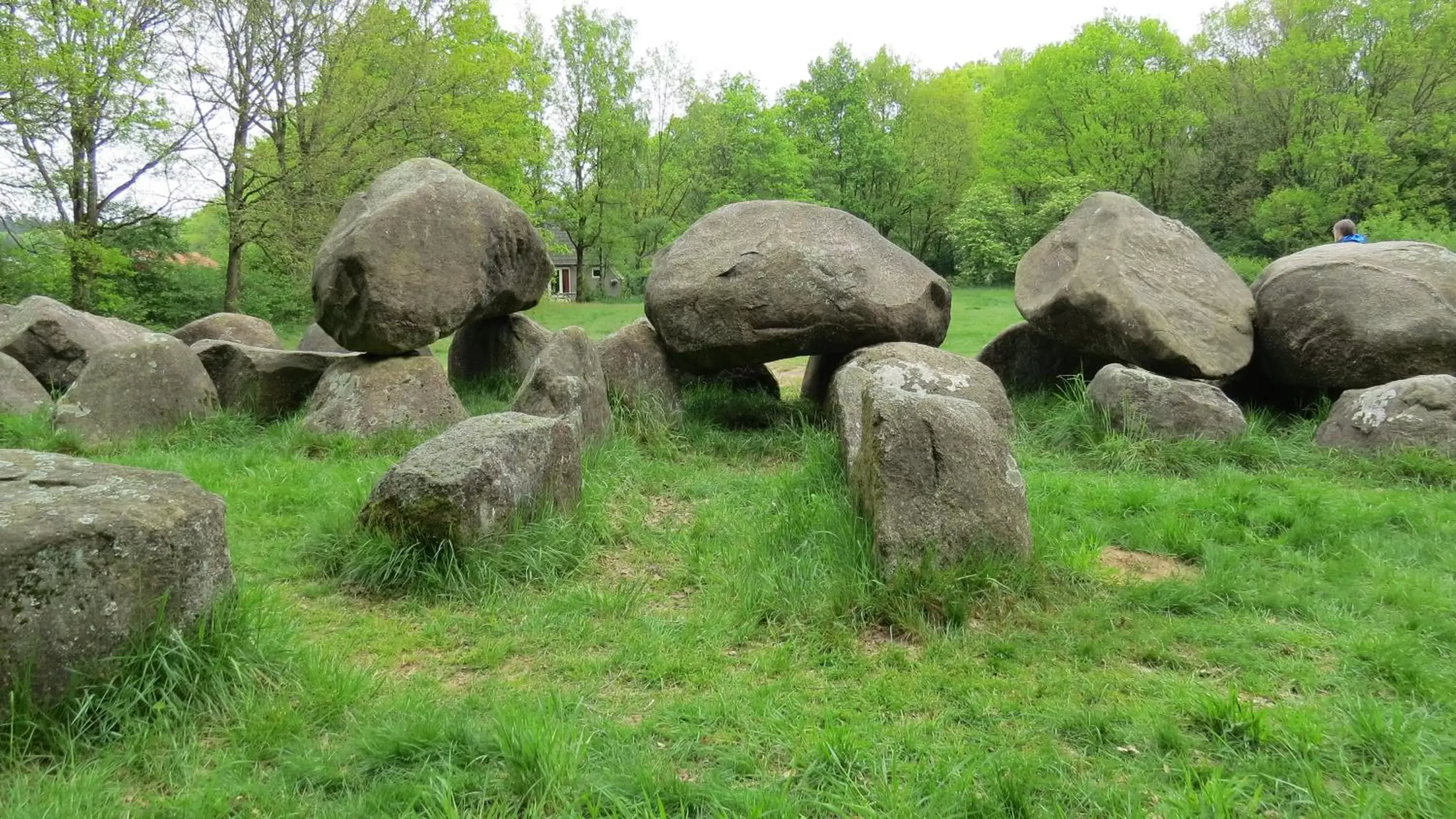 Natural landscape in 't Zwanemeer