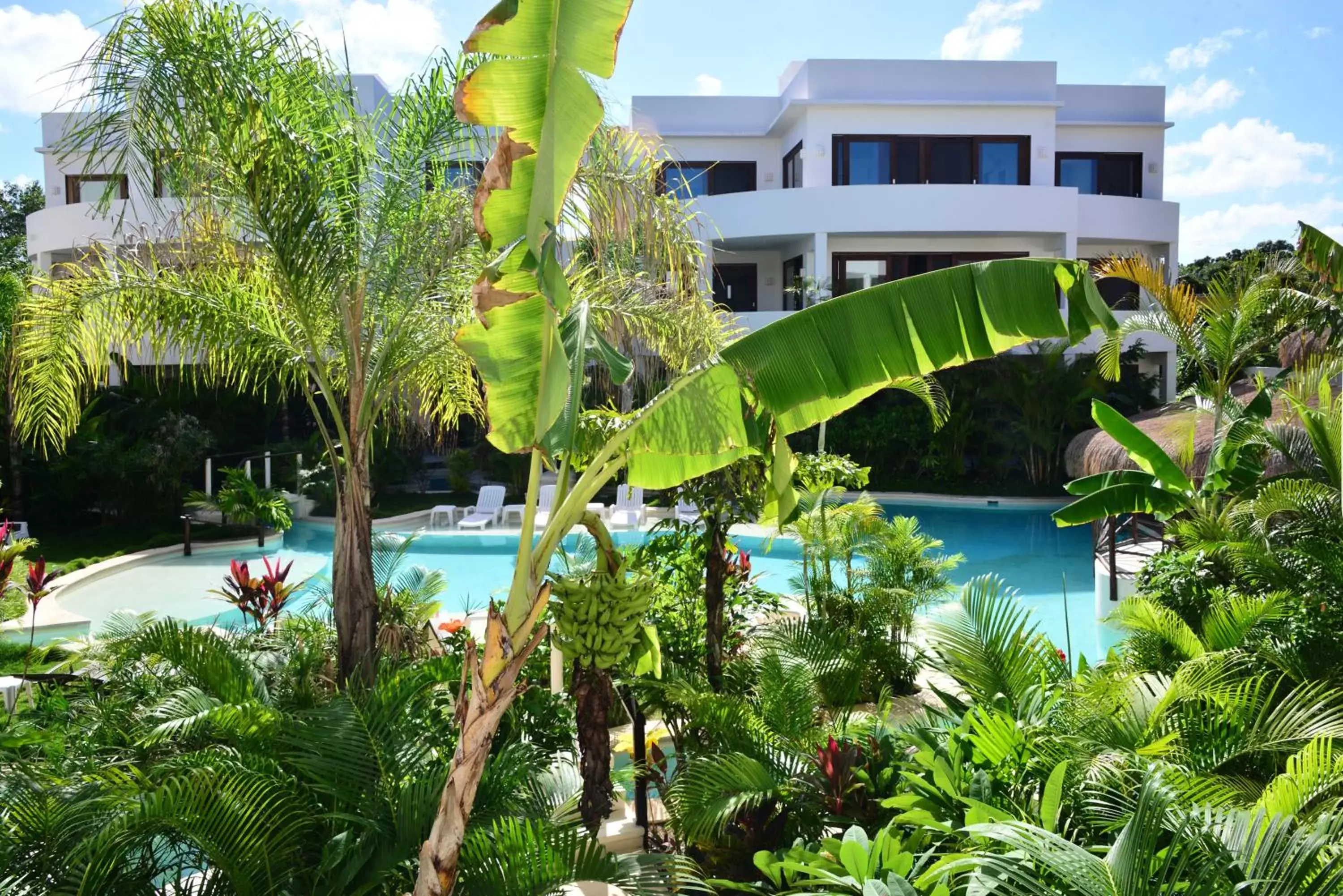 Decorative detail, Swimming Pool in Intima Resort Tulum Adults Only (Clothing Optional)