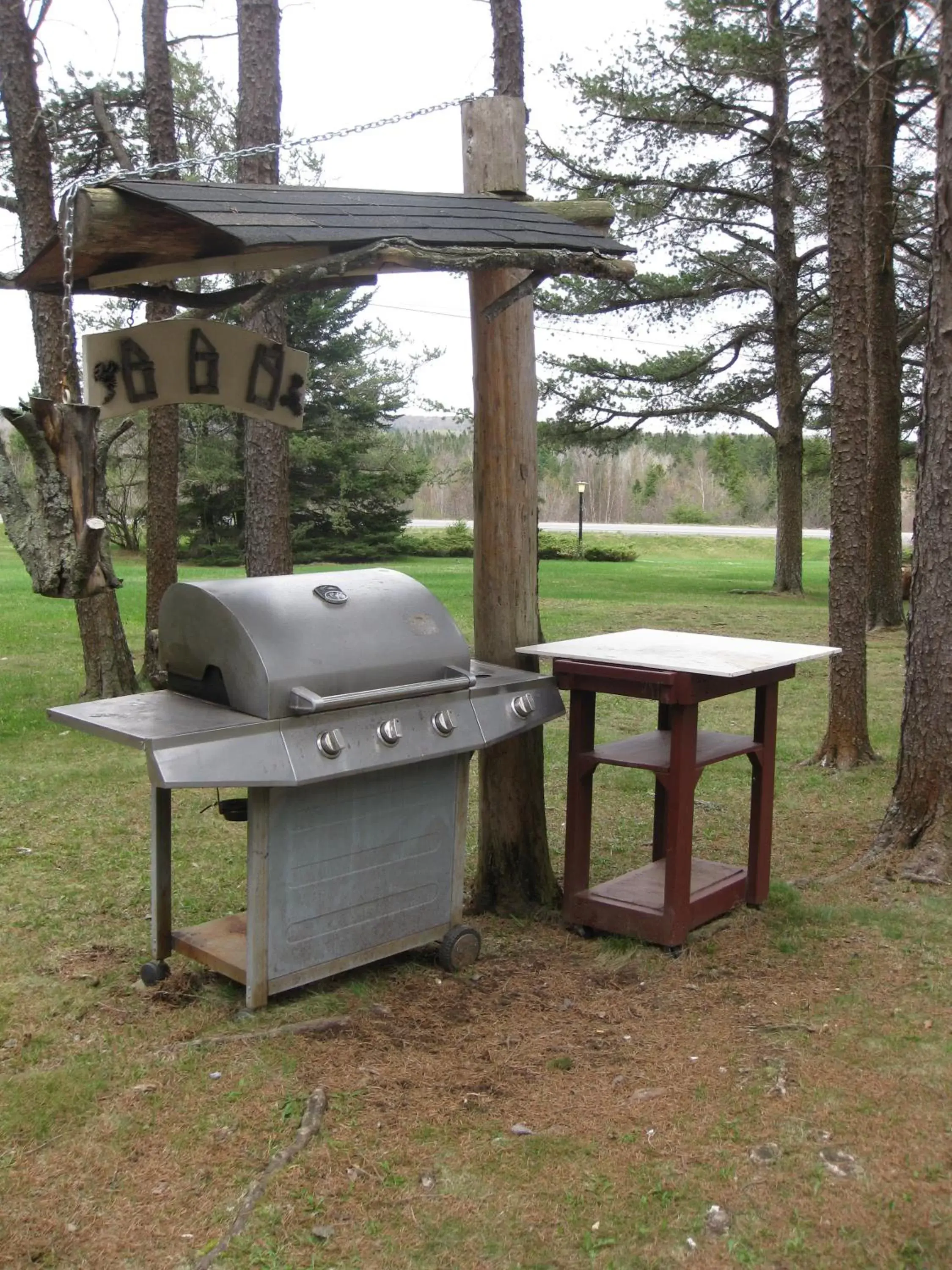 Day, BBQ Facilities in Pinecone Motel