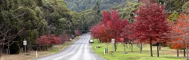 Day in Black Forest Motel