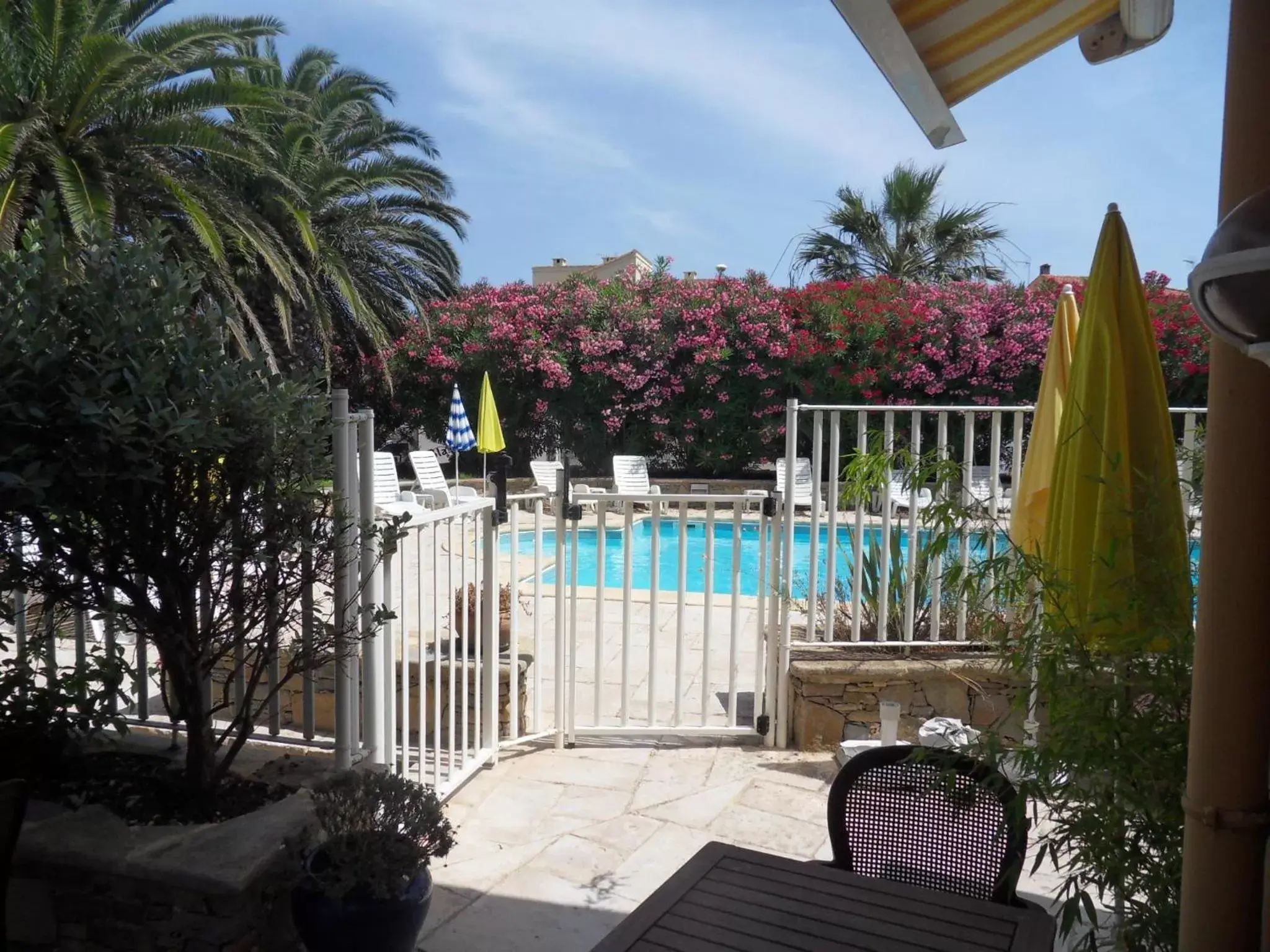 Pool view, Swimming Pool in Hotel Albizzia