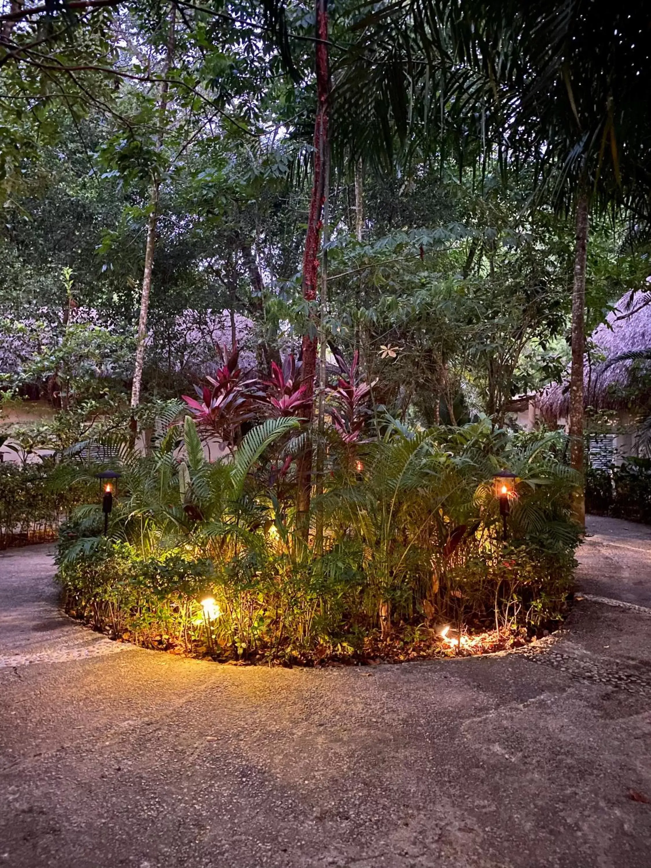 Patio, Garden in Piedra de Agua Palenque