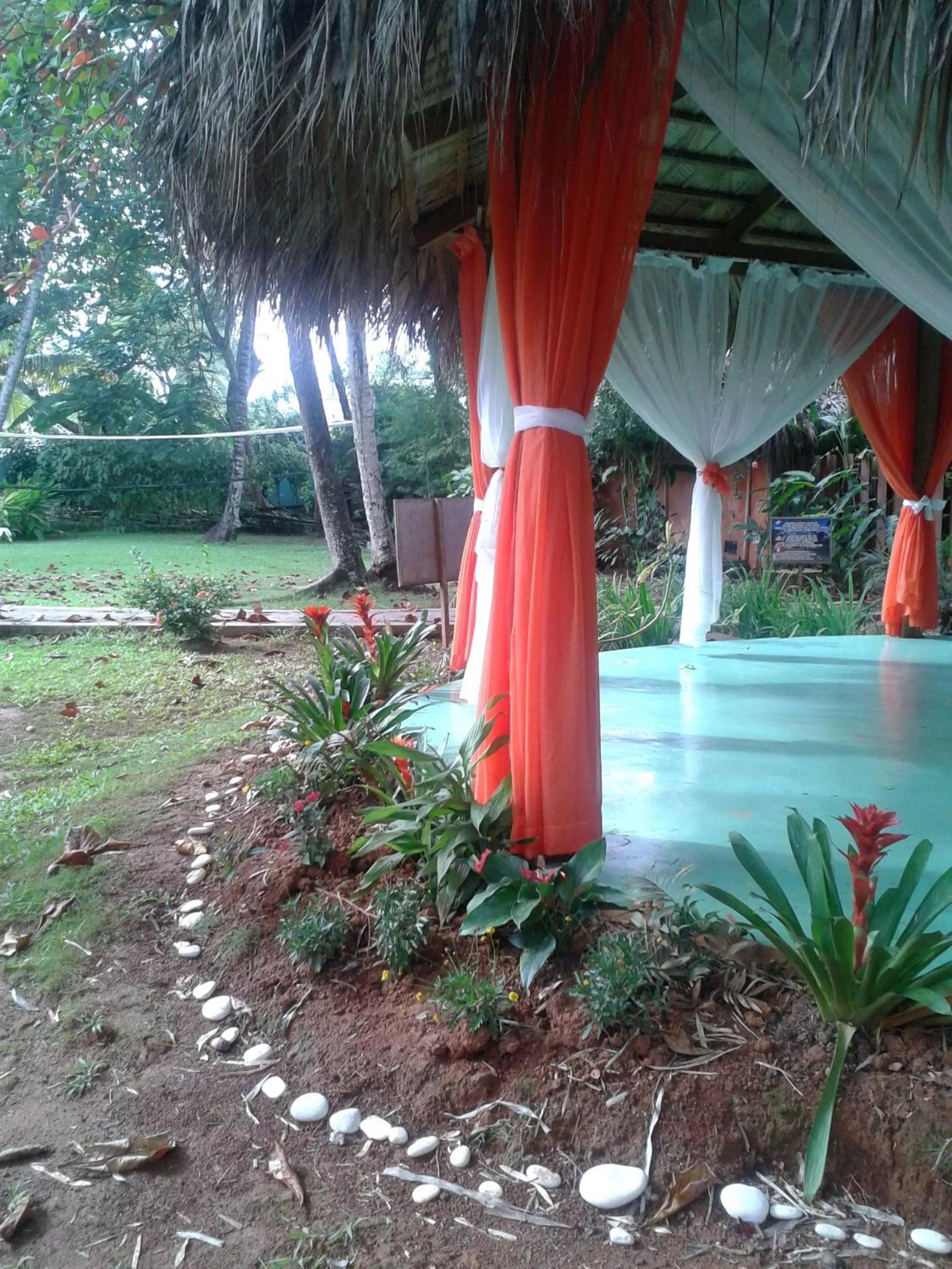Garden in La Residencia del Paseo