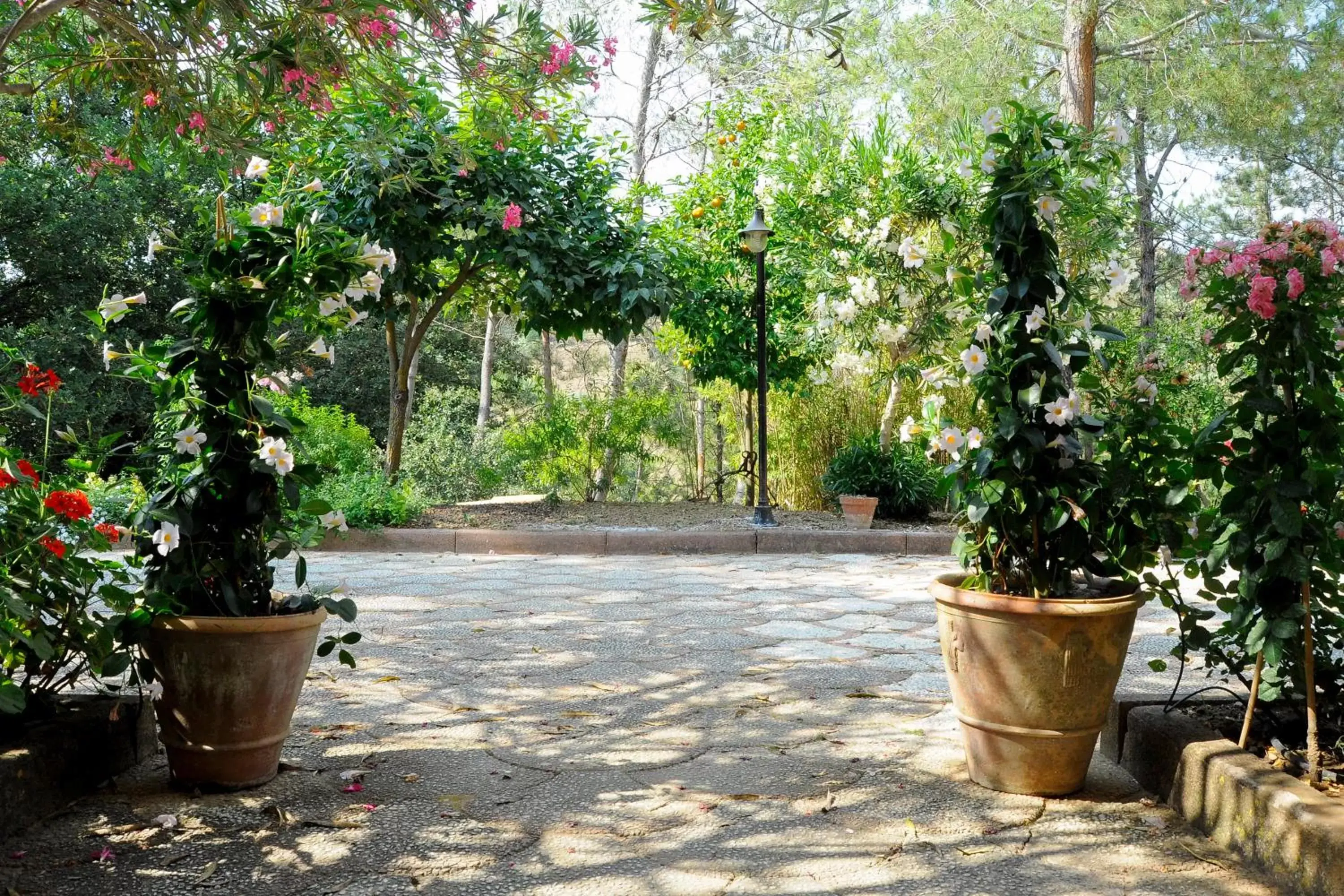 Facade/entrance in B&B Villa Bentivoglio