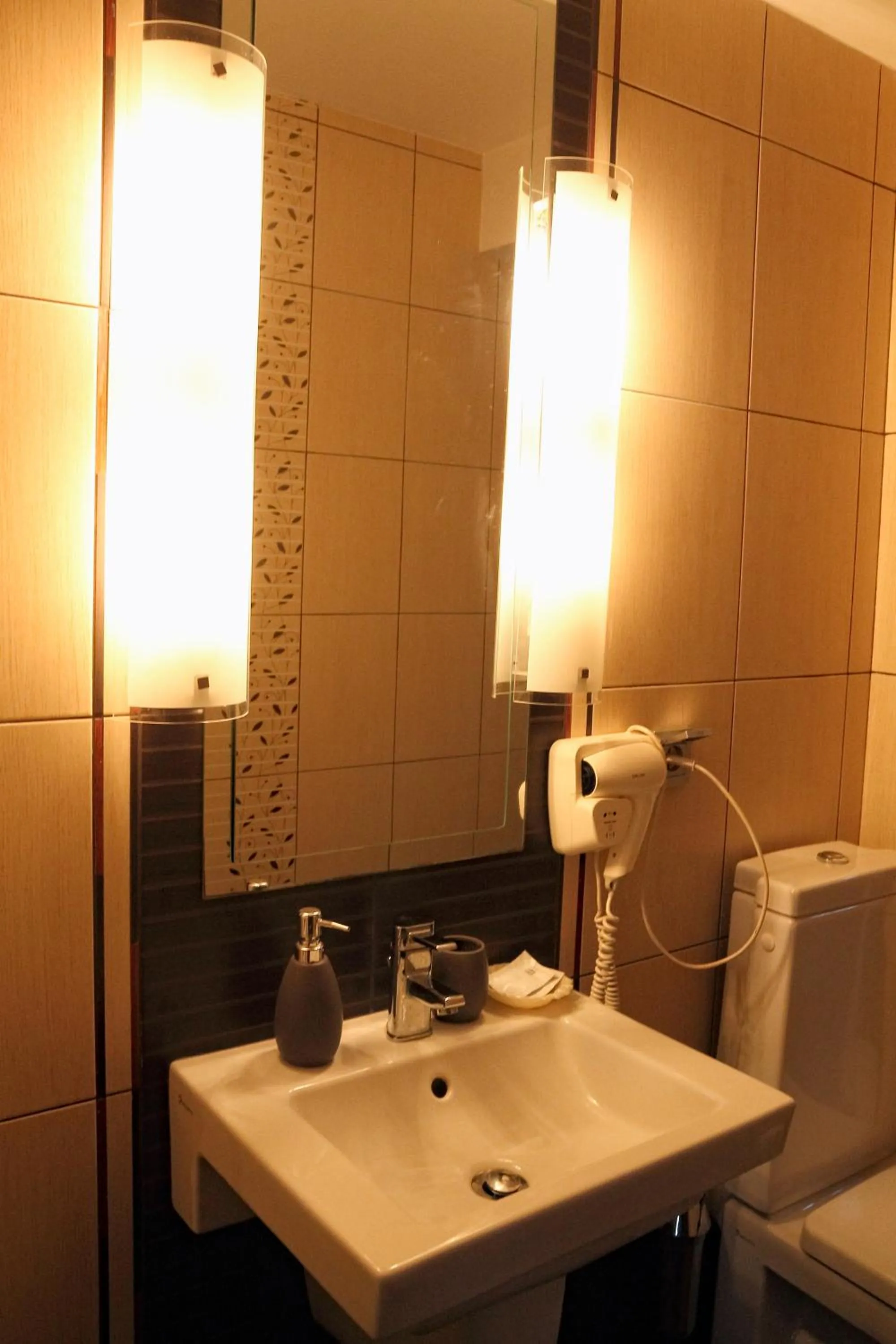 Bathroom in Hotel Premier