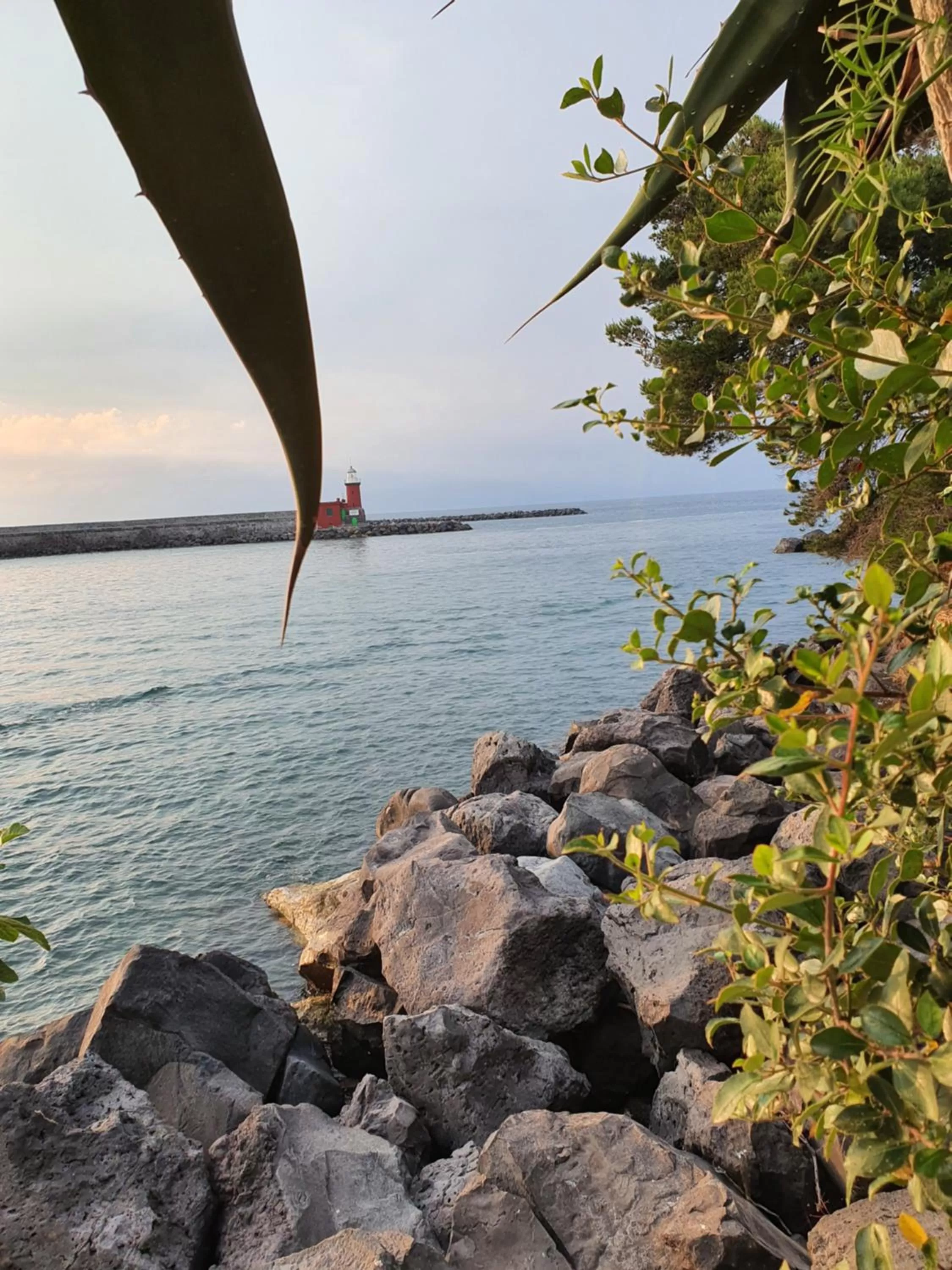 Natural landscape in Clipper Suite