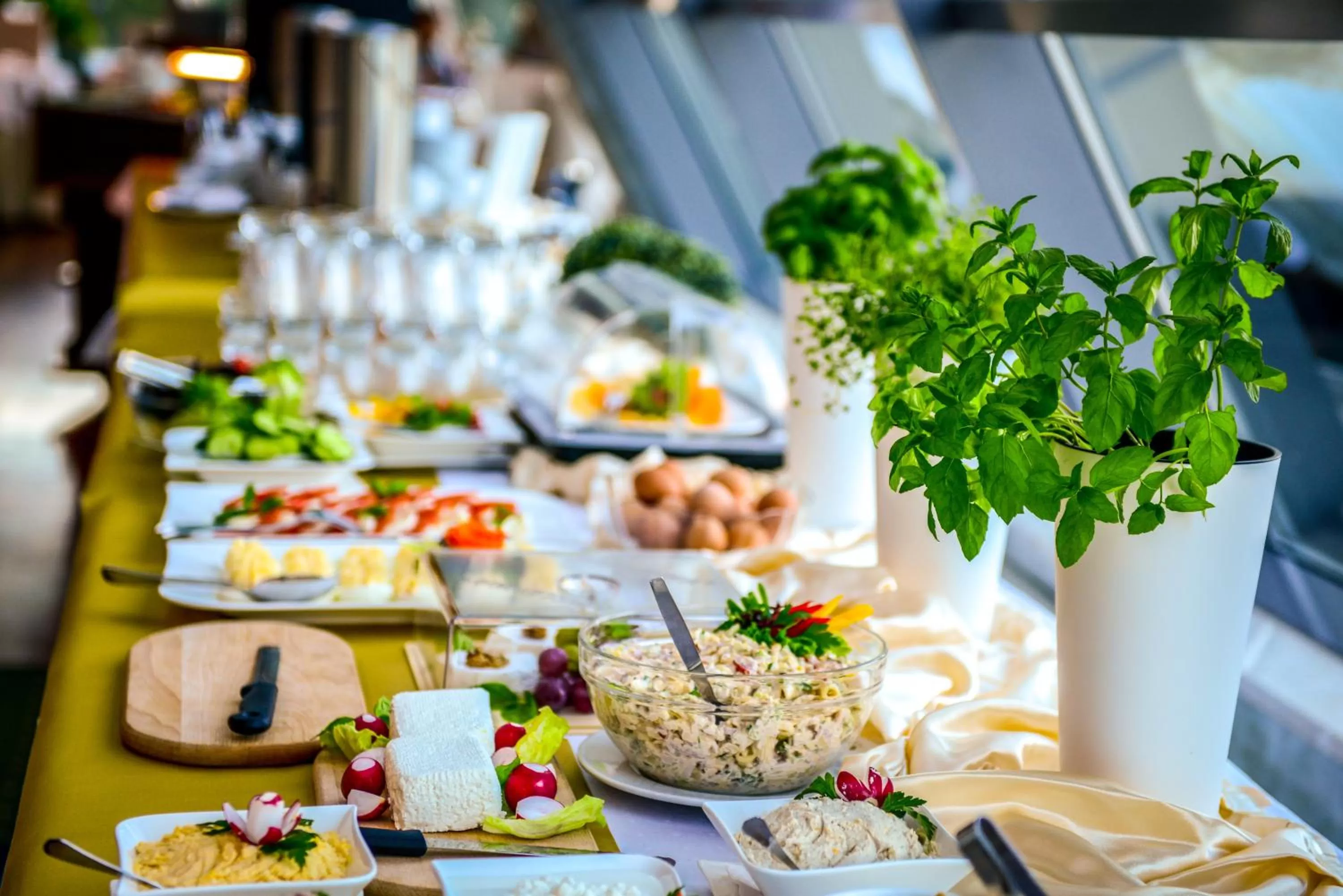 Restaurant/places to eat in Hotel Belweder