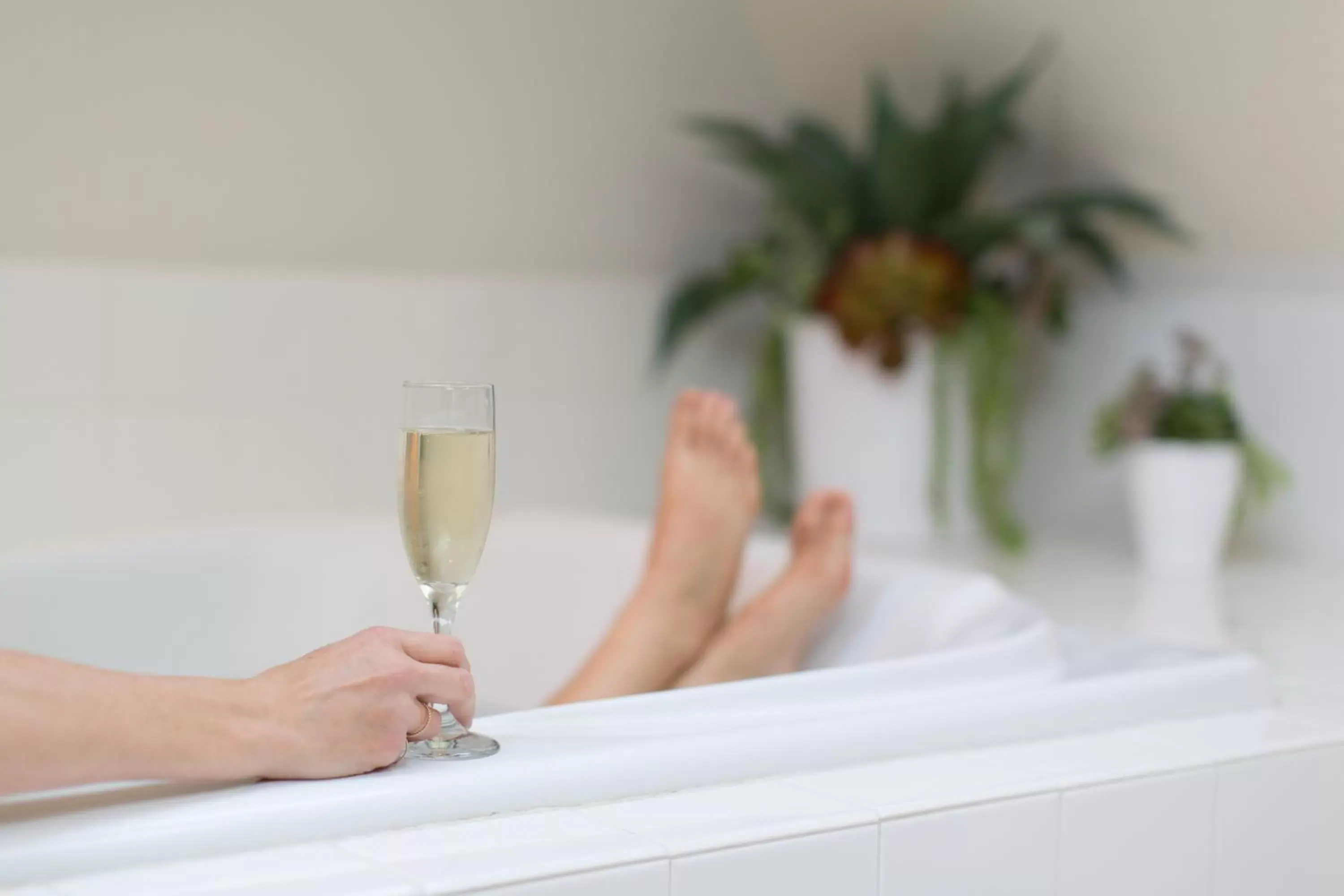 Area and facilities in Lithia Springs Resort Area and facilities in Lithia Springs Resort