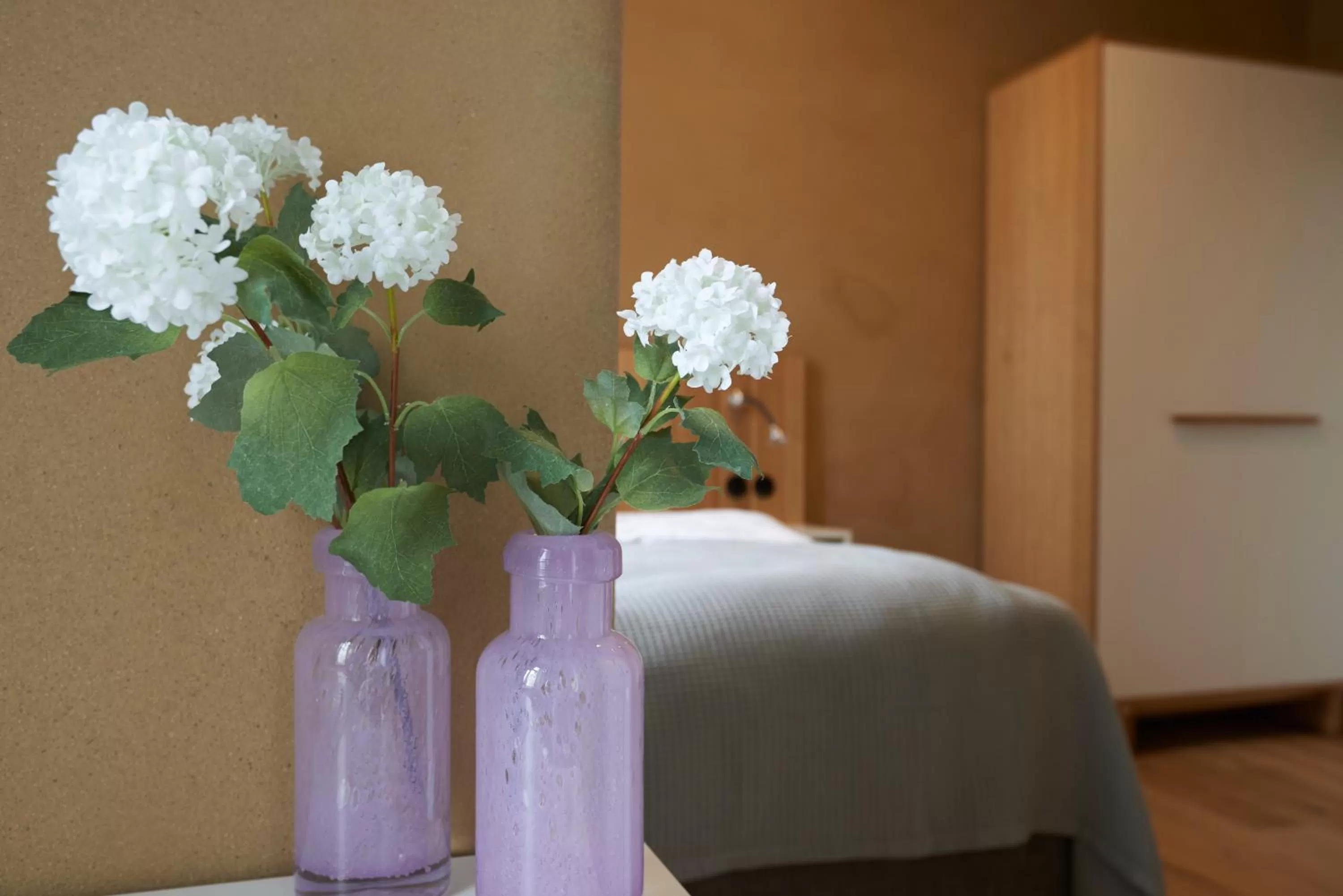 Photo of the whole room in Alte Apotheke