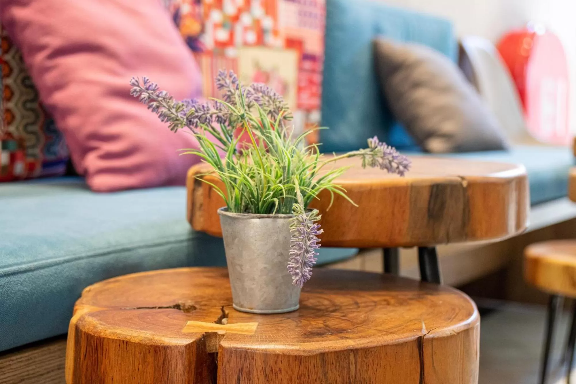 Lobby or reception in Antonia Hotel