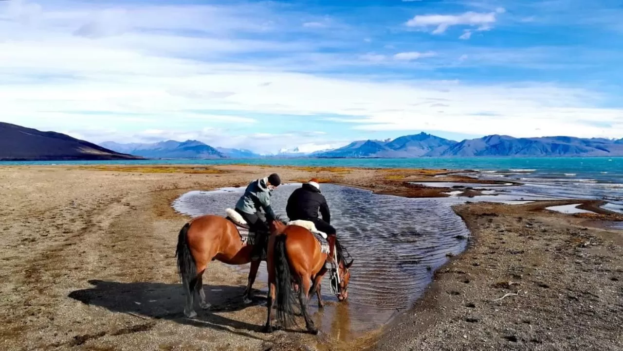 Other Animals in Hostería El Galpón Del Glaciar