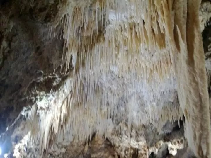 Natural landscape in Sunrise Hotel