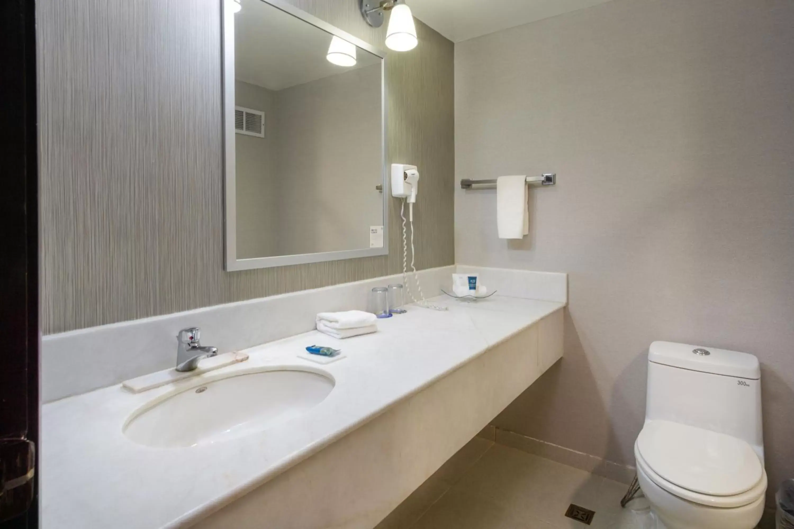 Bathroom in Four Points by Sheraton Saltillo