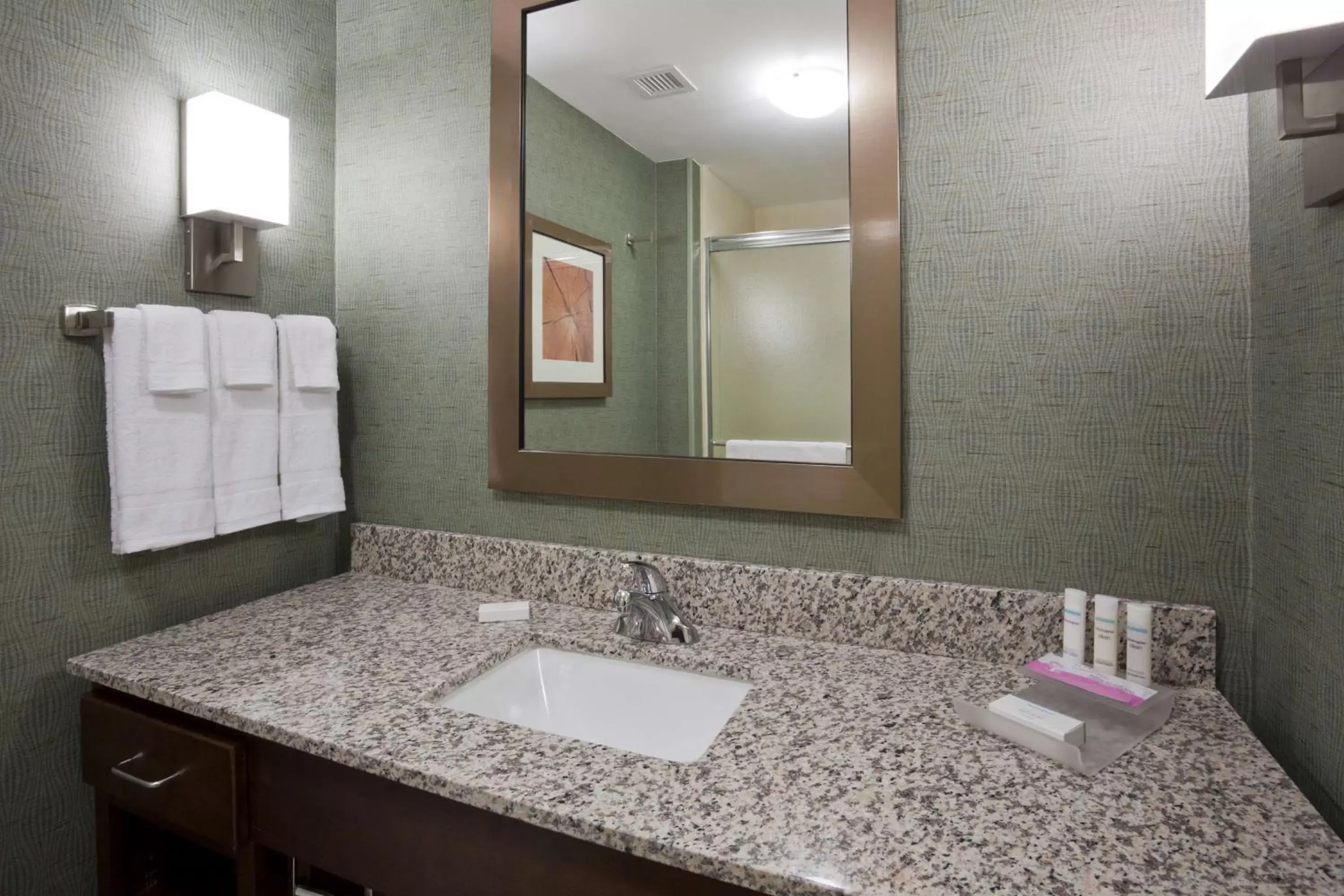 Bathroom in Homewood Suites by Hilton Rochester Mayo Clinic-St. Marys Campus